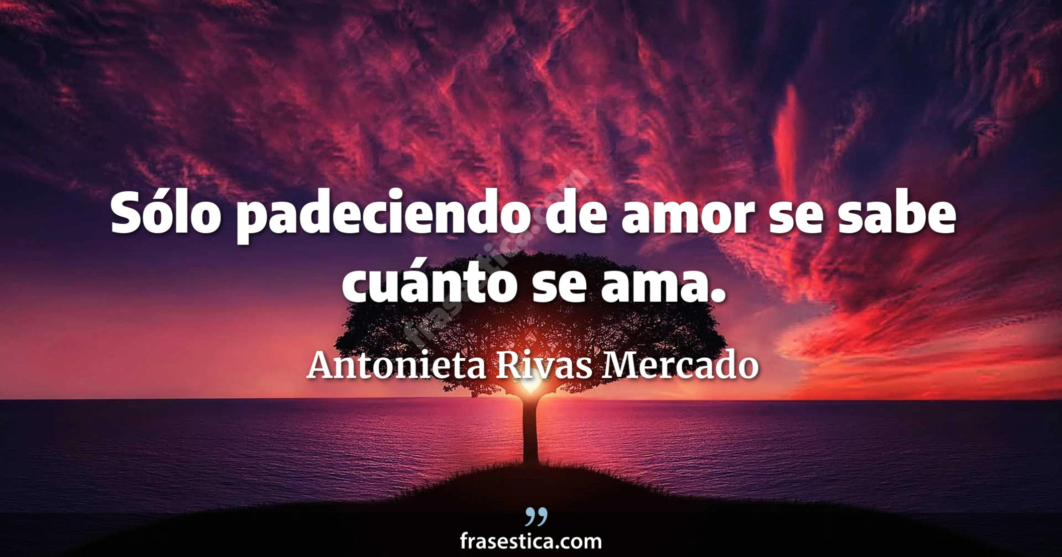 Sólo padeciendo de amor se sabe cuánto se ama. - Antonieta Rivas Mercado