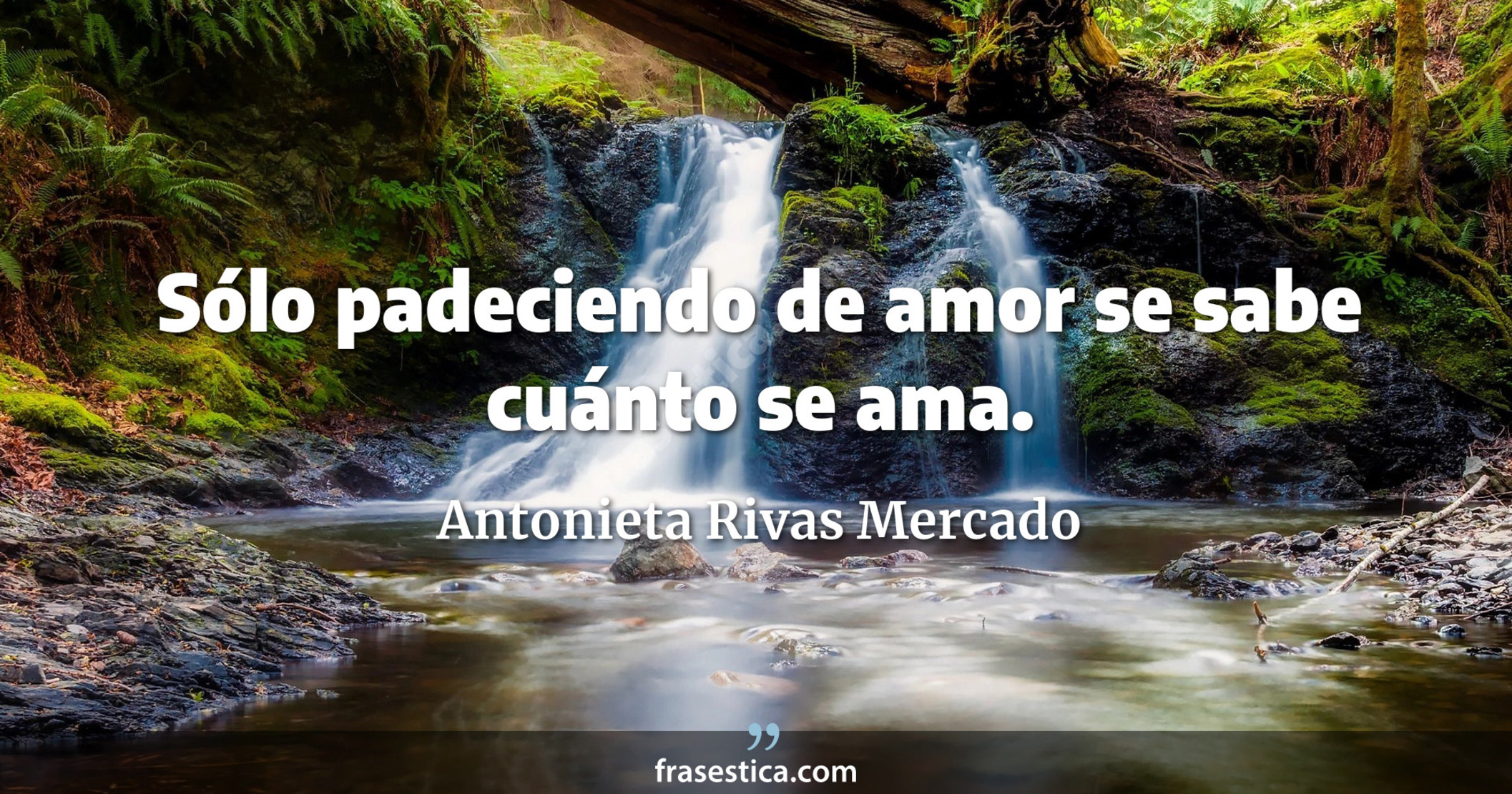 Sólo padeciendo de amor se sabe cuánto se ama. - Antonieta Rivas Mercado