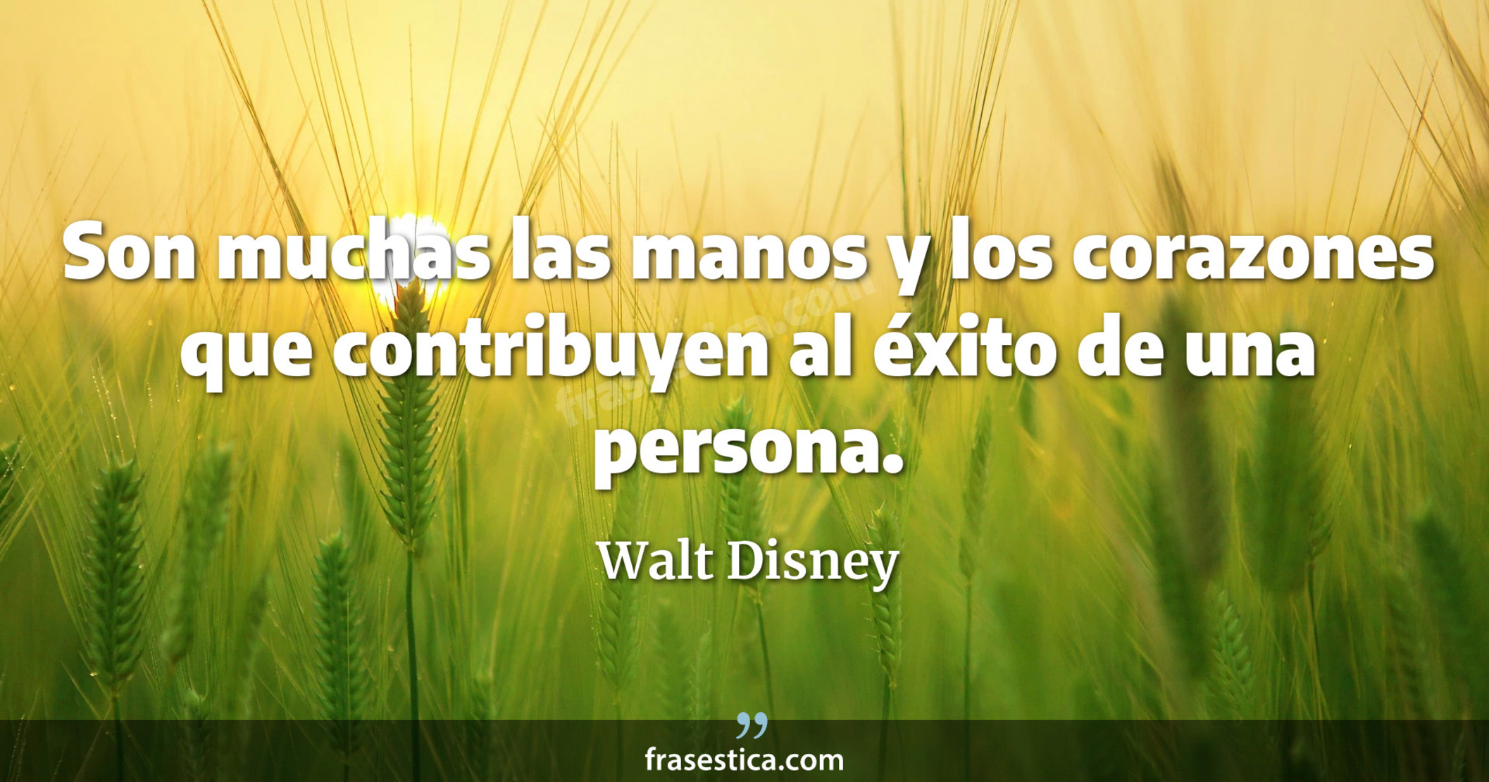 Son muchas las manos y los corazones que contribuyen al éxito de una persona. - Walt Disney