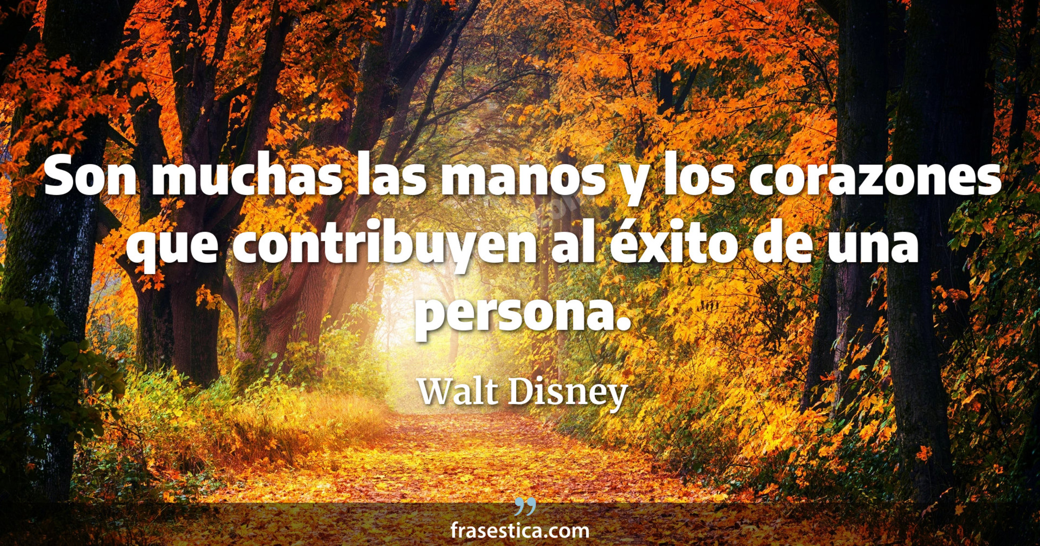 Son muchas las manos y los corazones que contribuyen al éxito de una persona. - Walt Disney