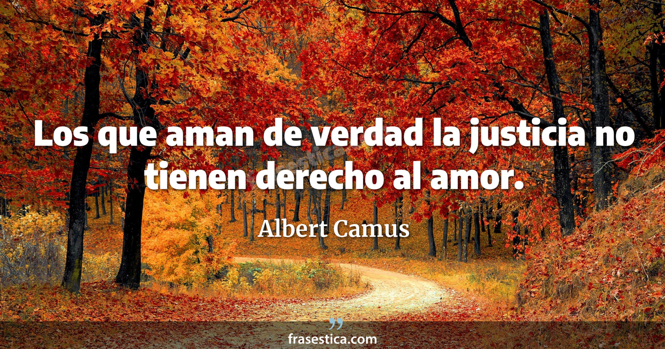 Los que aman de verdad la justicia no tienen derecho al amor. - Albert Camus