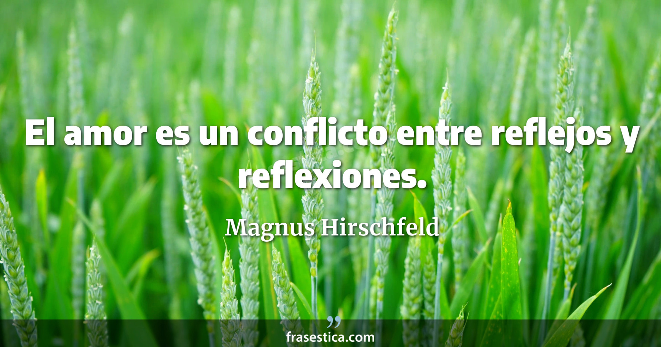 El amor es un conflicto entre reflejos y reflexiones. - Magnus Hirschfeld