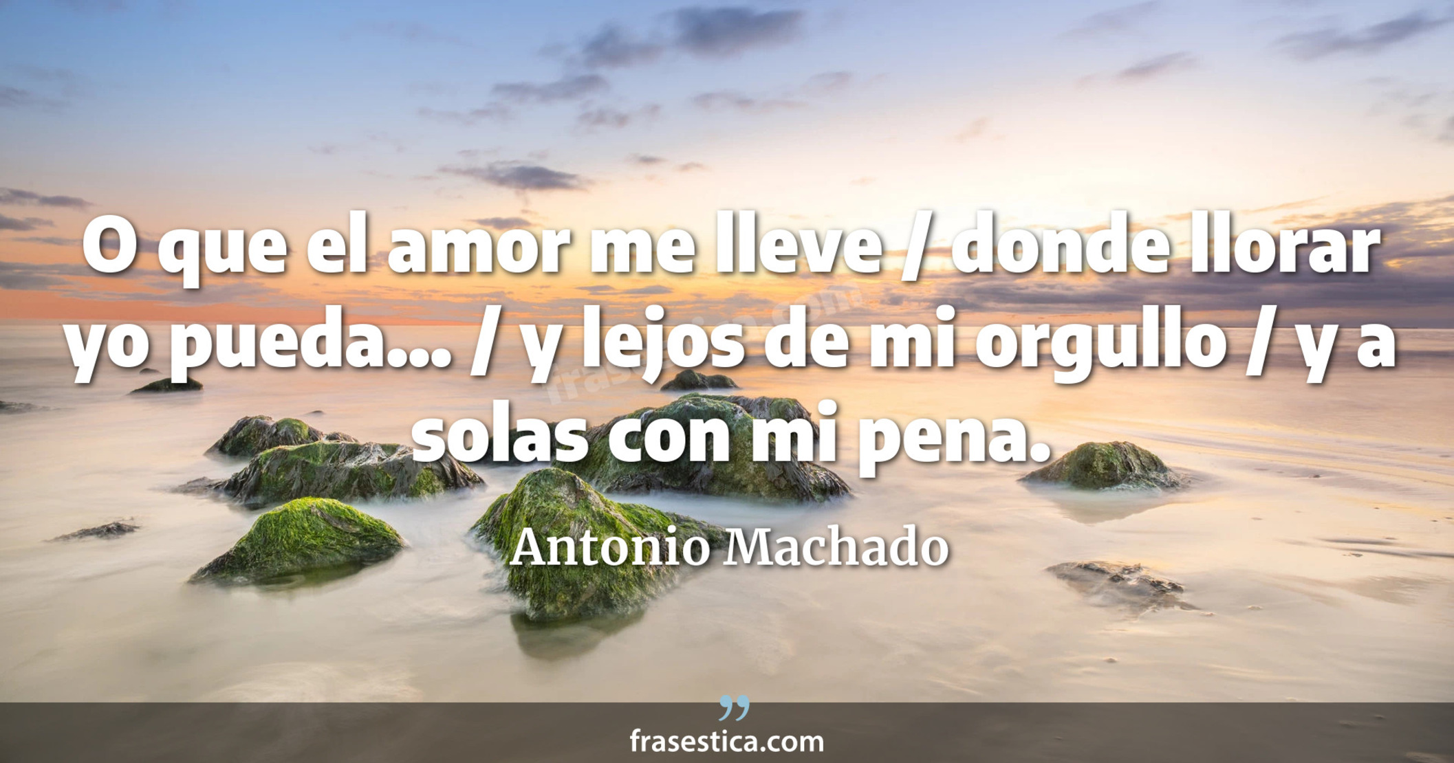 O que el amor me lleve / donde llorar yo pueda... / y lejos de mi orgullo / y a solas con mi pena. - Antonio Machado