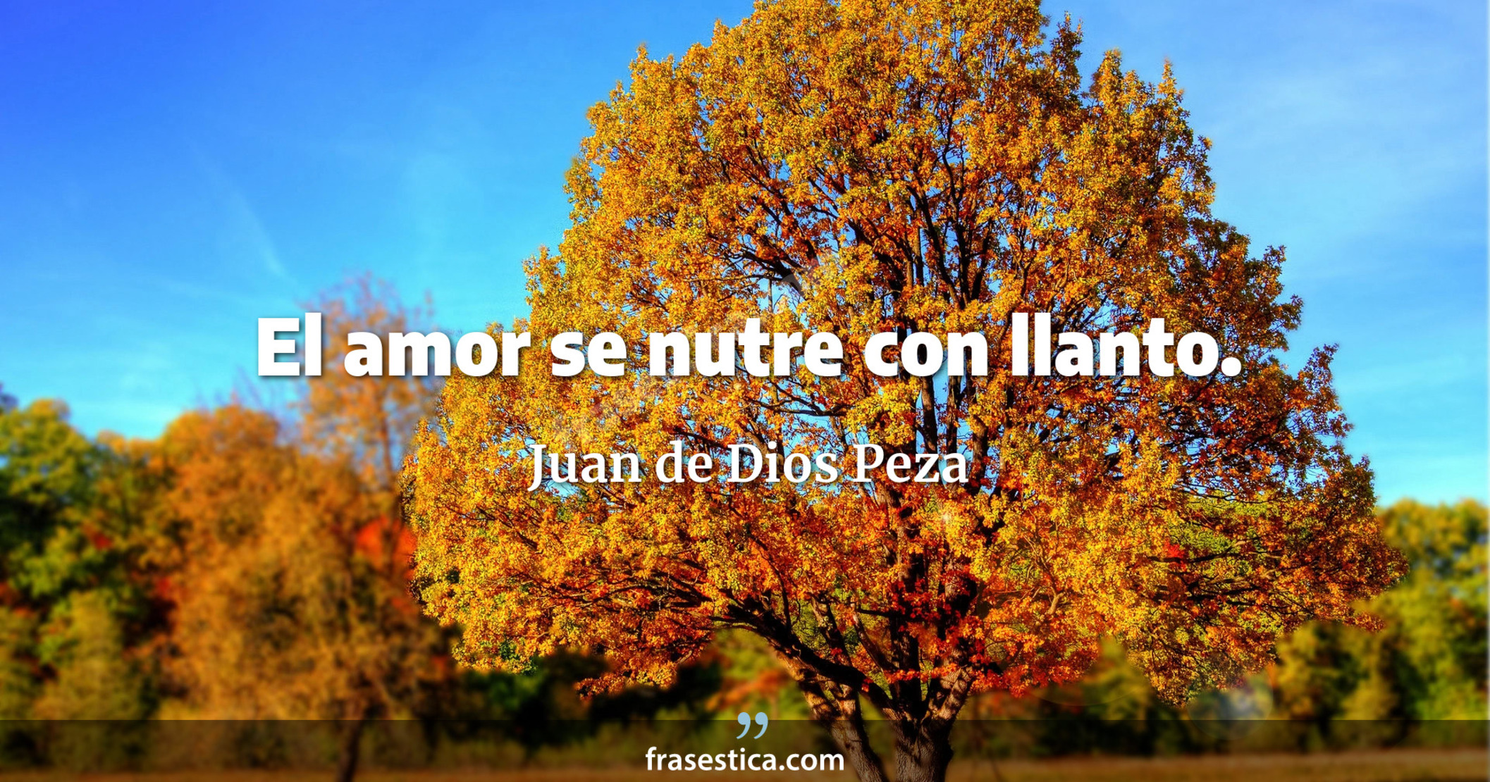 El amor se nutre con llanto. - Juan de Dios Peza