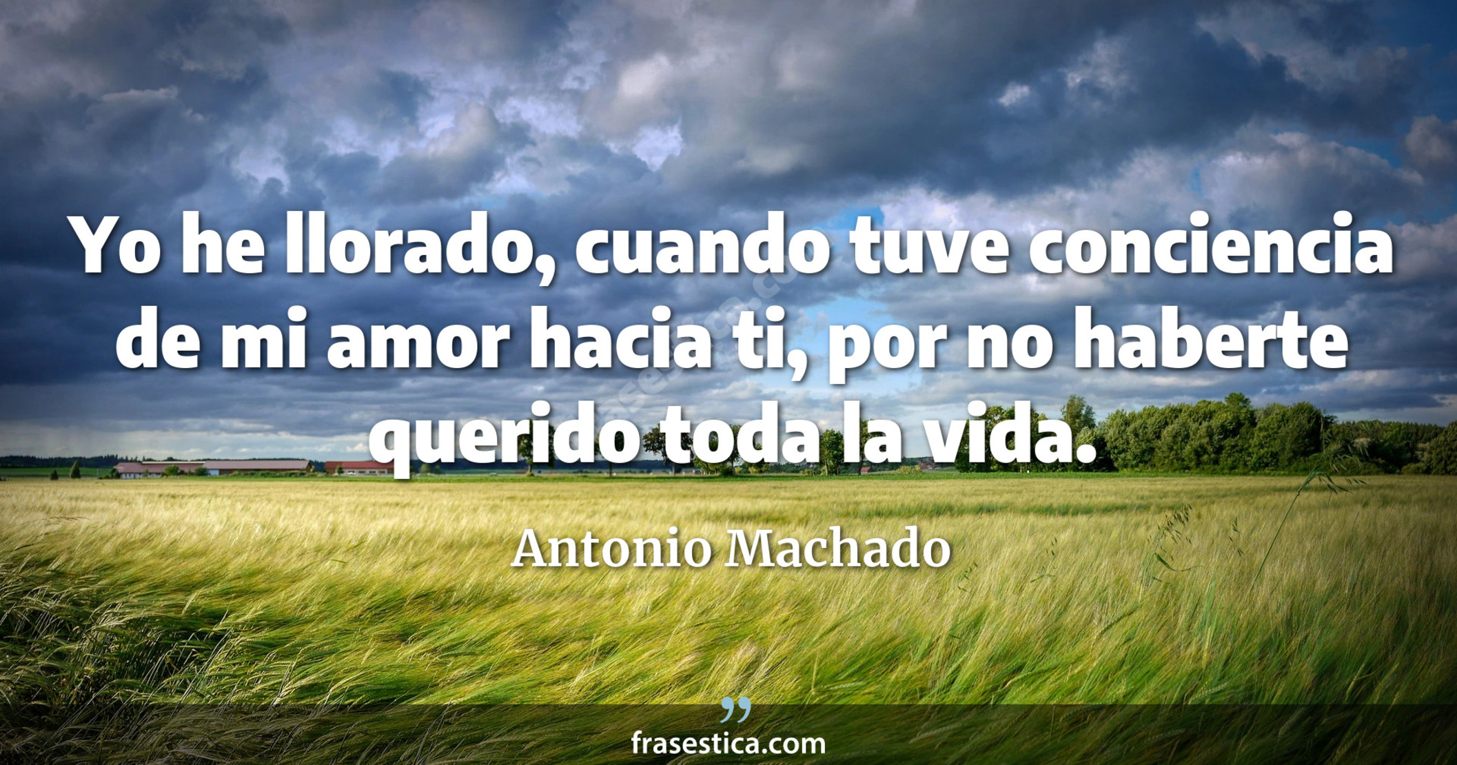 Yo he llorado, cuando tuve conciencia de mi amor hacia ti, por no haberte querido toda la vida. - Antonio Machado