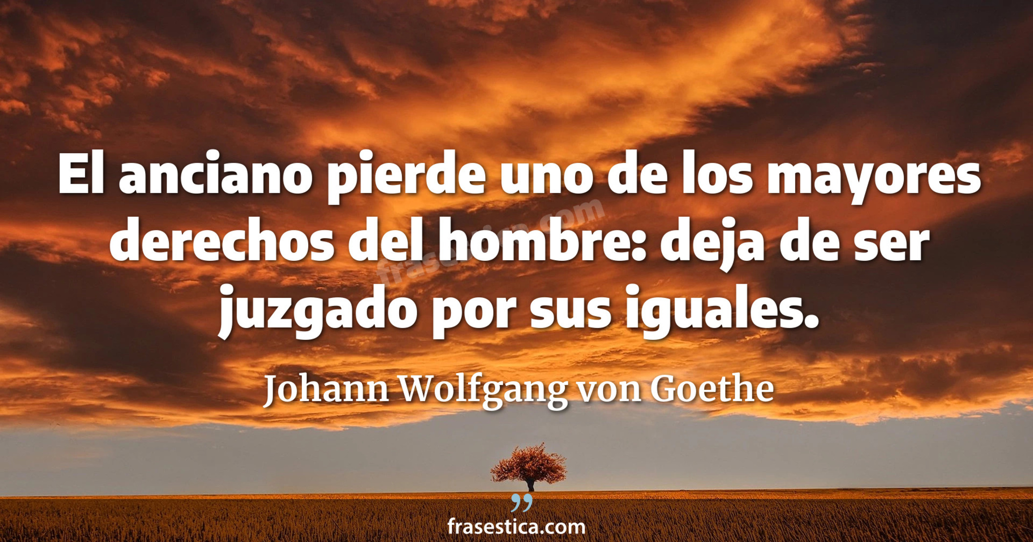 El anciano pierde uno de los mayores derechos del hombre: deja de ser juzgado por sus iguales. - Johann Wolfgang von Goethe