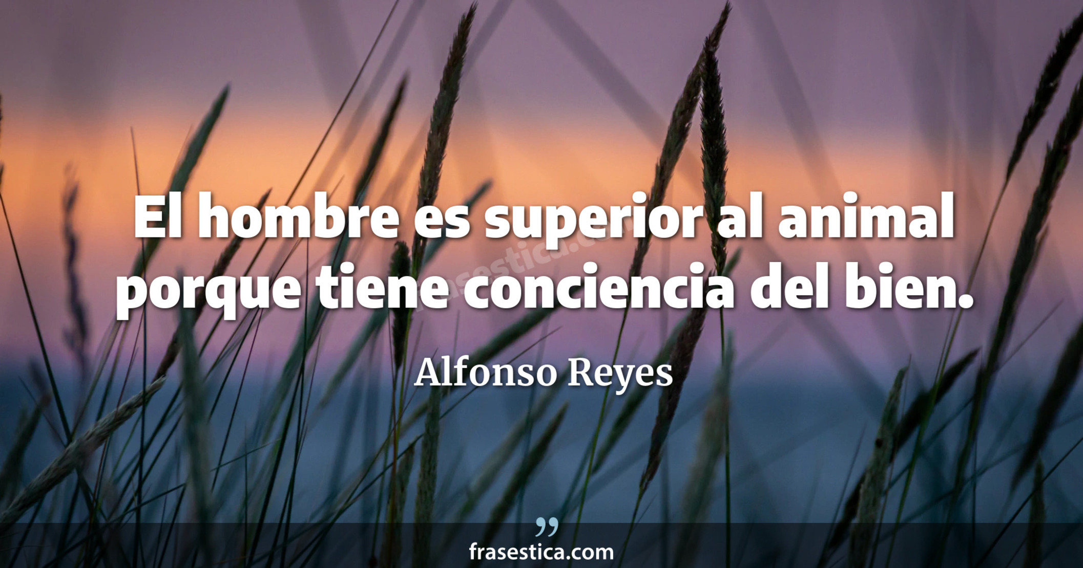 El hombre es superior al animal porque tiene conciencia del bien. - Alfonso Reyes