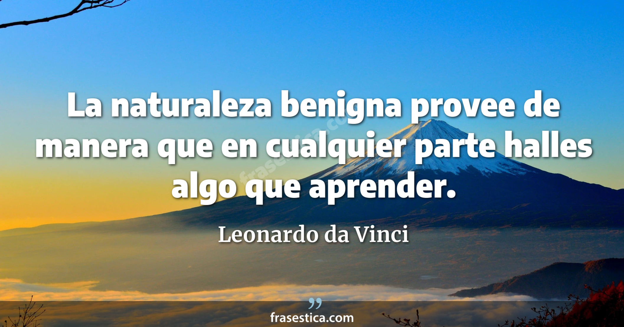 La naturaleza benigna provee de manera que en cualquier parte halles algo que aprender. - Leonardo da Vinci