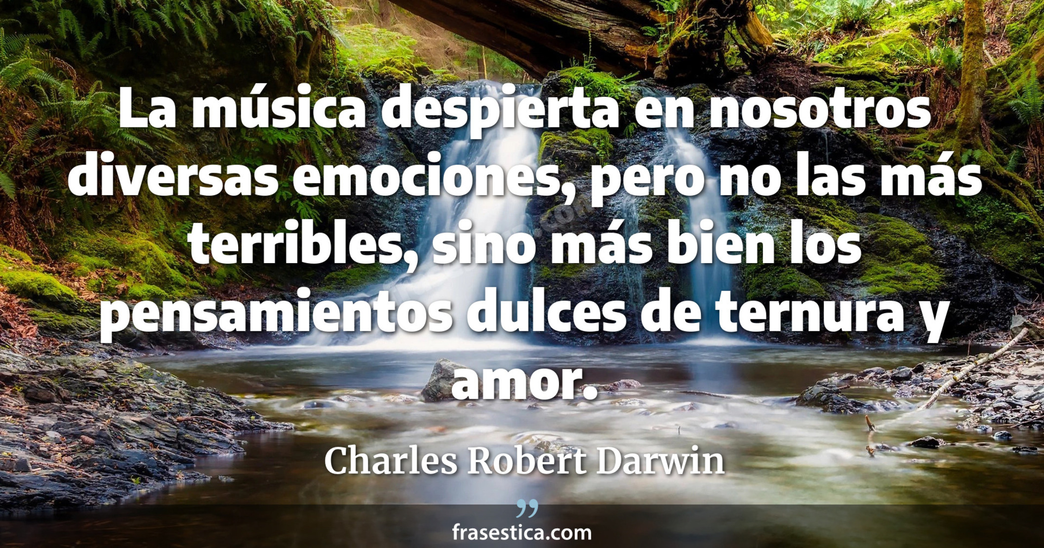 La música despierta en nosotros diversas emociones, pero no las más terribles, sino más bien los pensamientos dulces de ternura y amor. - Charles Robert Darwin