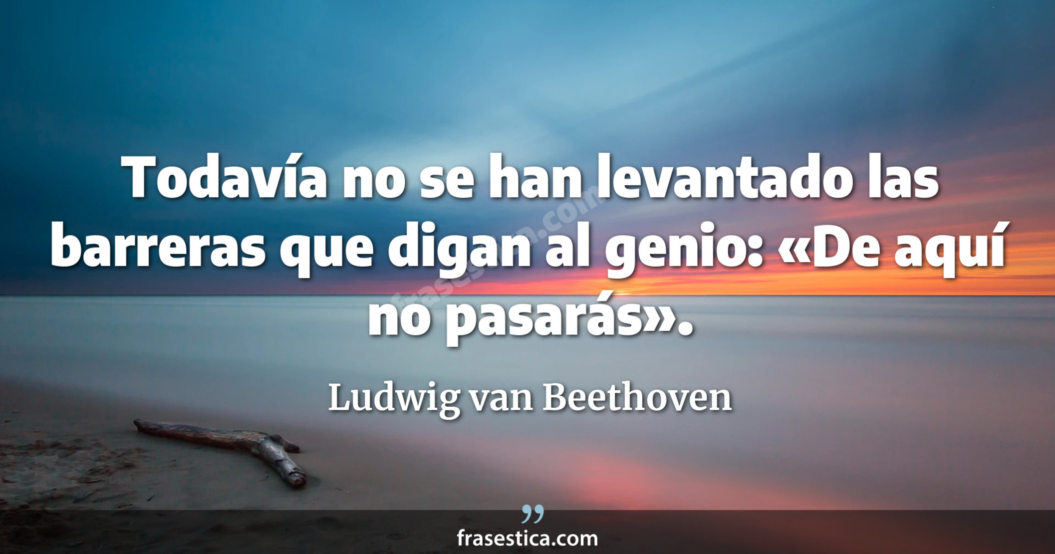 Todavía no se han levantado las barreras que digan al genio: «De aquí no pasarás». - Ludwig van Beethoven