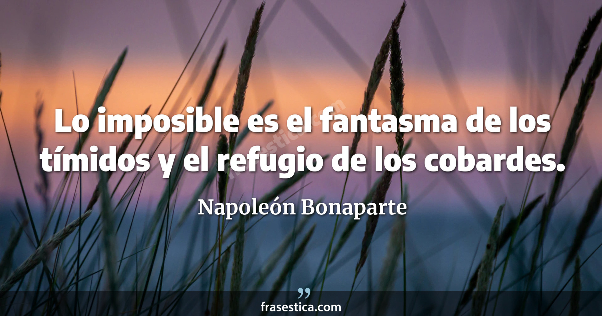 Lo imposible es el fantasma de los tímidos y el refugio de los cobardes. - Napoleón Bonaparte