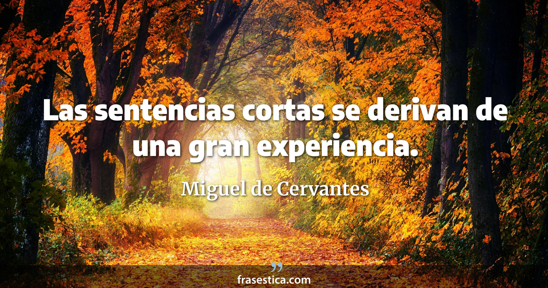 Las sentencias cortas se derivan de una gran experiencia. - Miguel de Cervantes