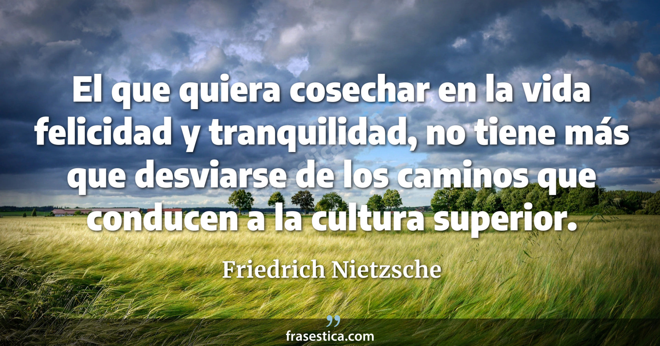 El que quiera cosechar en la vida felicidad y tranquilidad, no tiene más que desviarse de los caminos que conducen a la cultura superior. - Friedrich Nietzsche