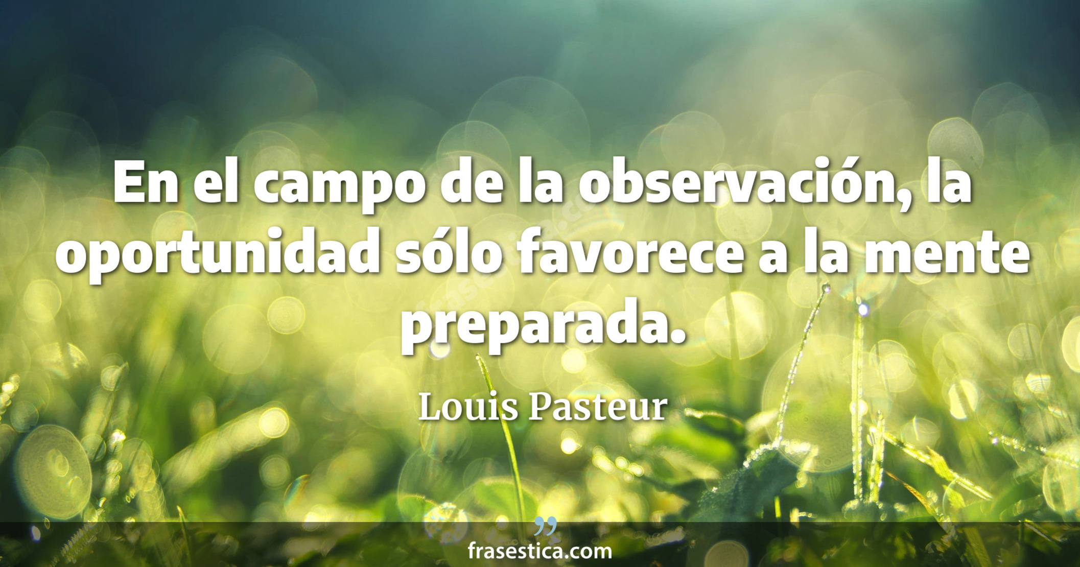 En el campo de la observación, la oportunidad sólo favorece a la mente preparada. - Louis Pasteur