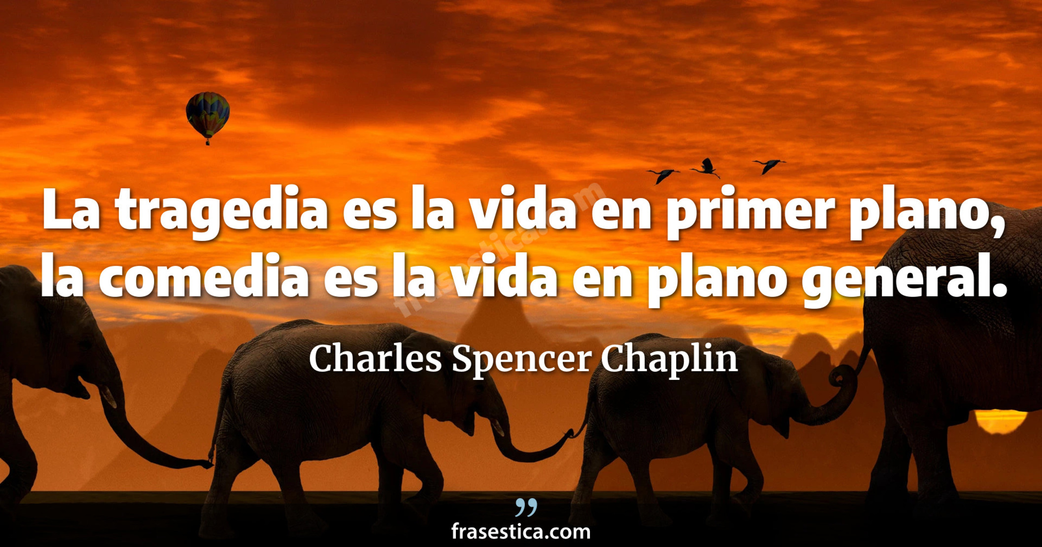 La tragedia es la vida en primer plano, la comedia es la vida en plano general. - Charles Spencer Chaplin