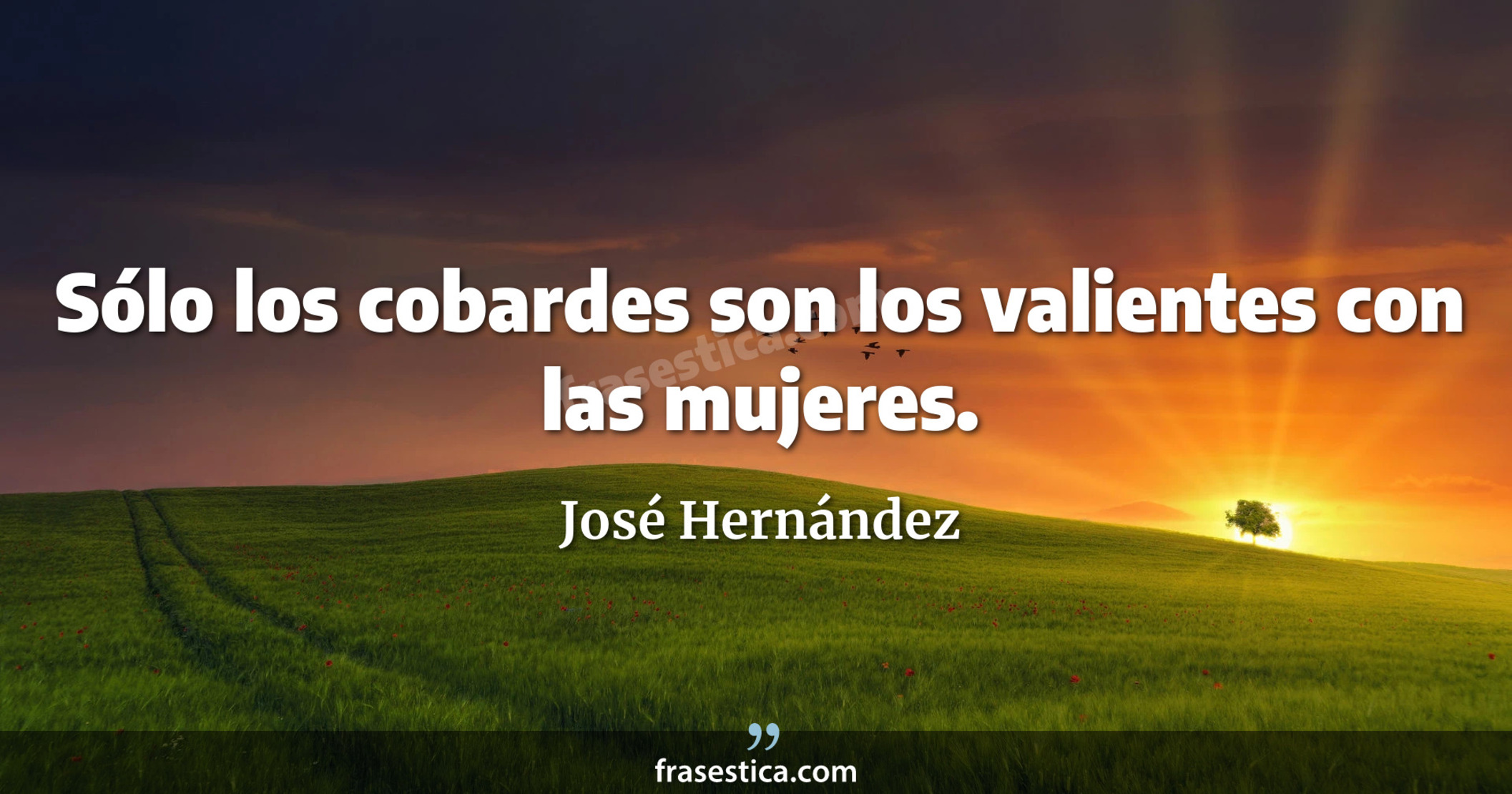 Sólo los cobardes son los valientes con las mujeres. - José Hernández
