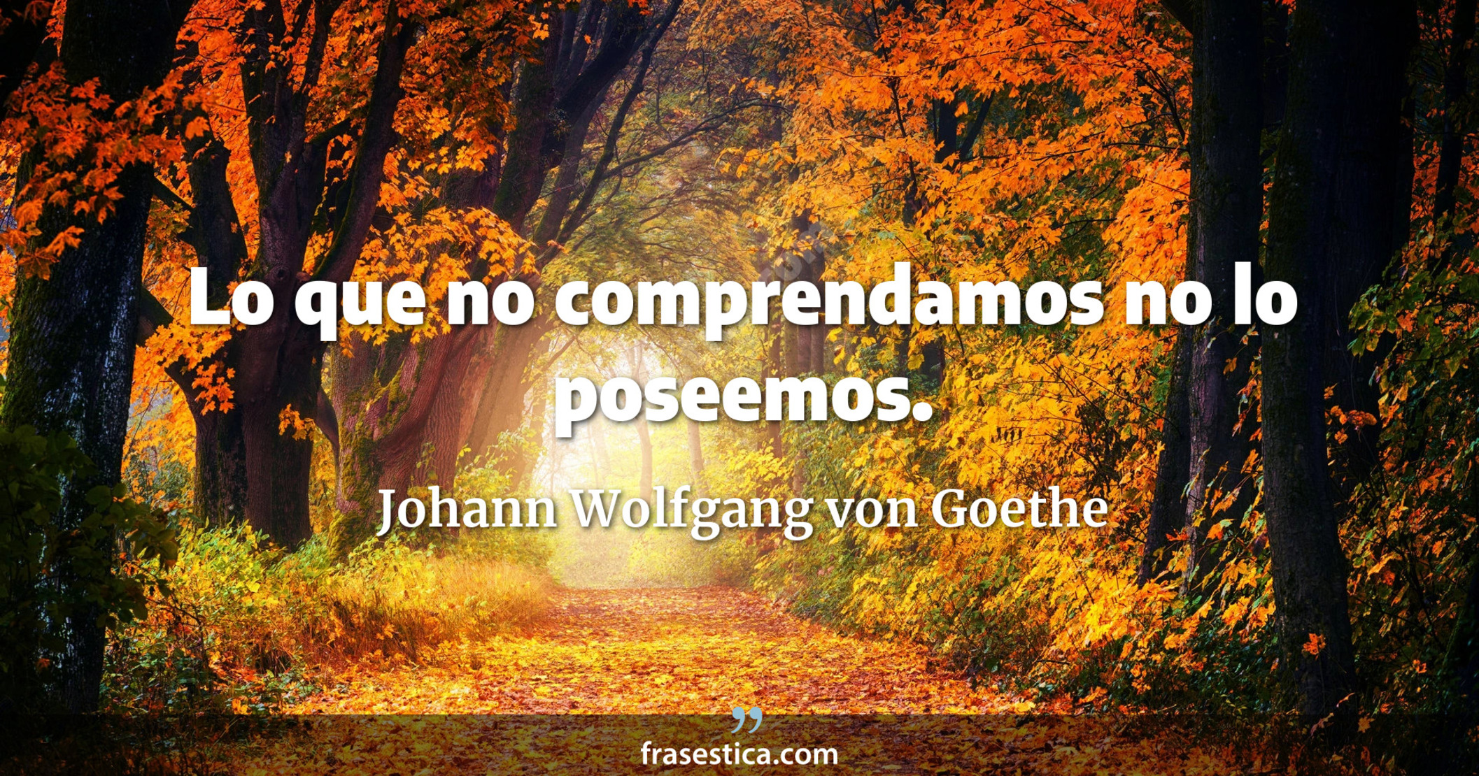 Lo que no comprendamos no lo poseemos. - Johann Wolfgang von Goethe