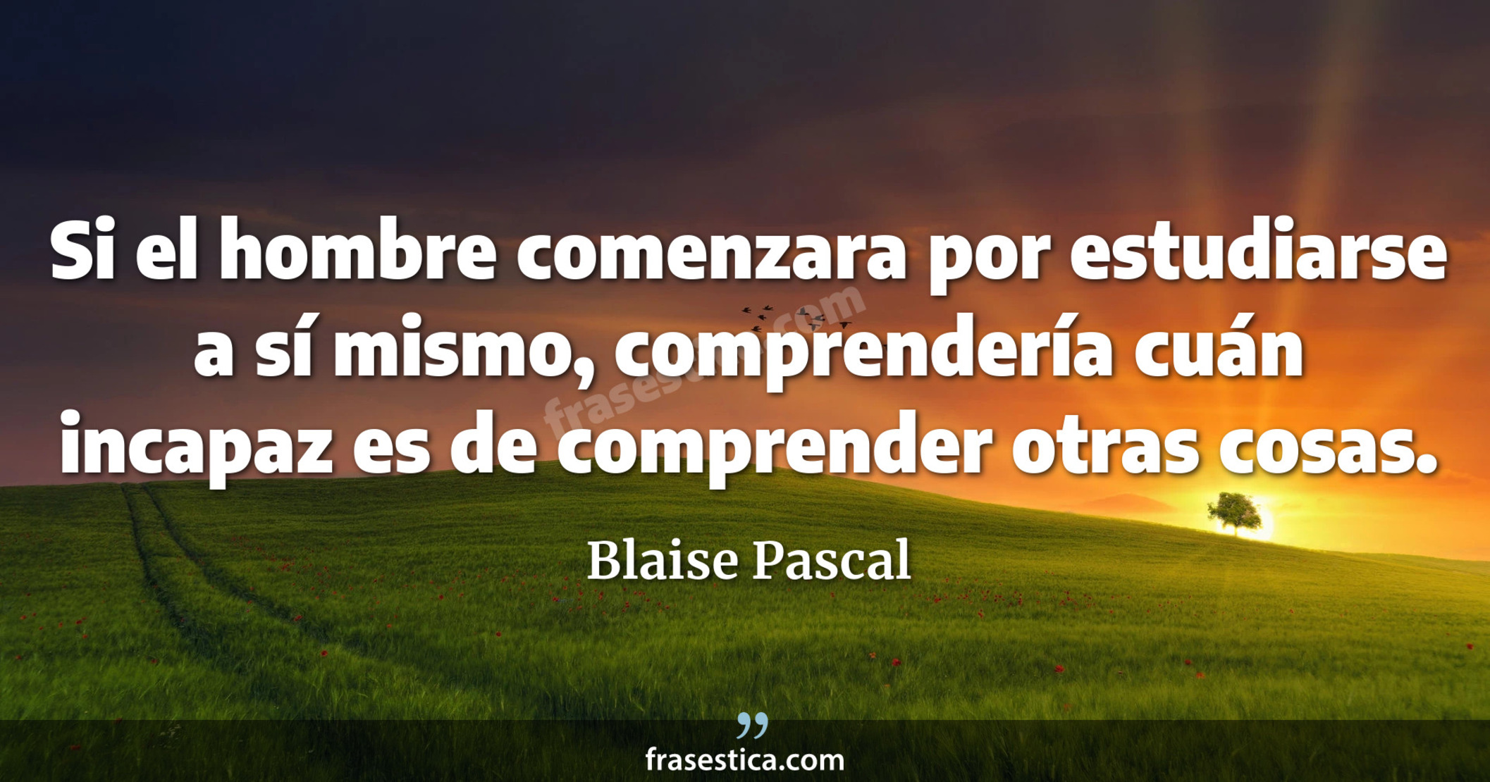 Si el hombre comenzara por estudiarse a sí mismo, comprendería cuán incapaz es de comprender otras cosas. - Blaise Pascal