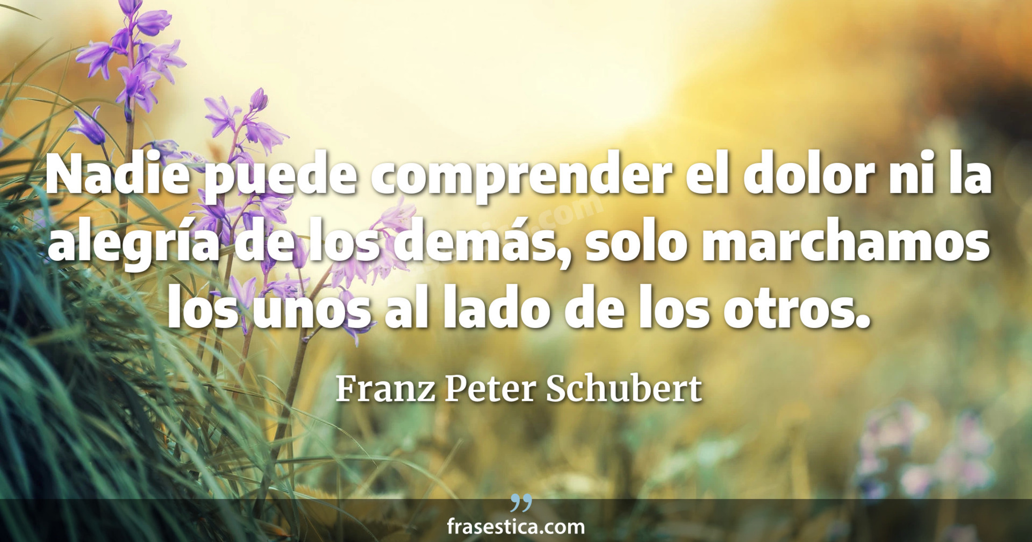 Nadie puede comprender el dolor ni la alegría de los demás, solo marchamos los unos al lado de los otros. - Franz Peter Schubert