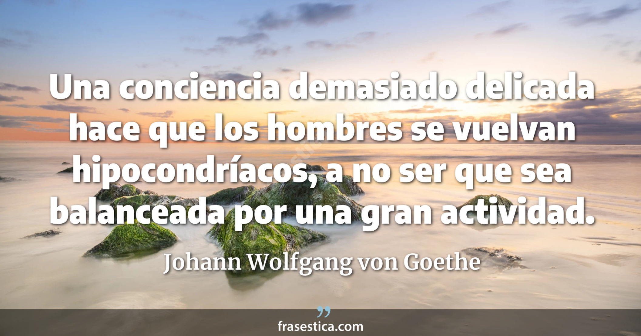 Una conciencia demasiado delicada hace que los hombres se vuelvan hipocondríacos, a no ser que sea balanceada por una gran actividad. - Johann Wolfgang von Goethe