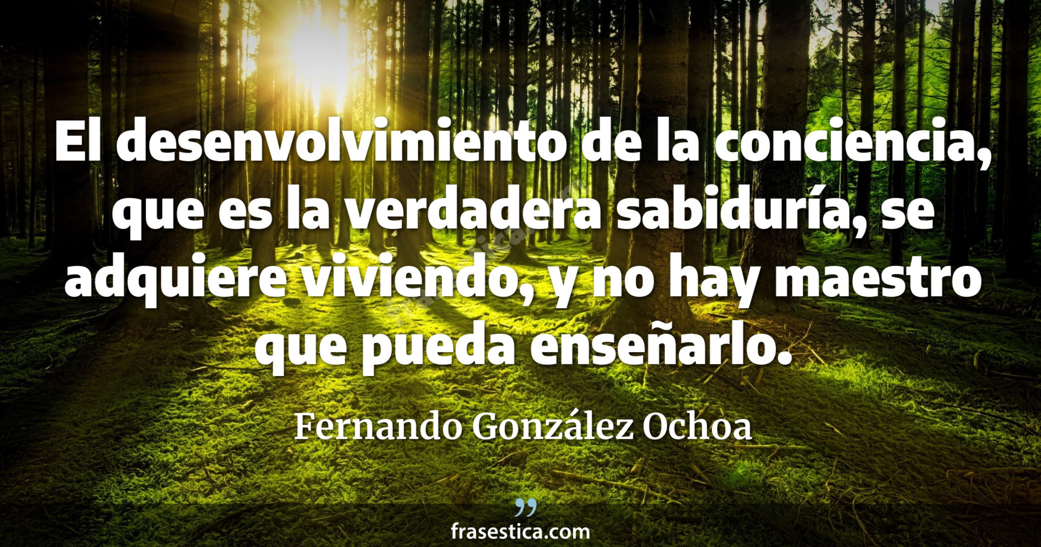 El desenvolvimiento de la conciencia, que es la verdadera sabiduría, se adquiere viviendo, y no hay maestro que pueda enseñarlo. - Fernando González Ochoa