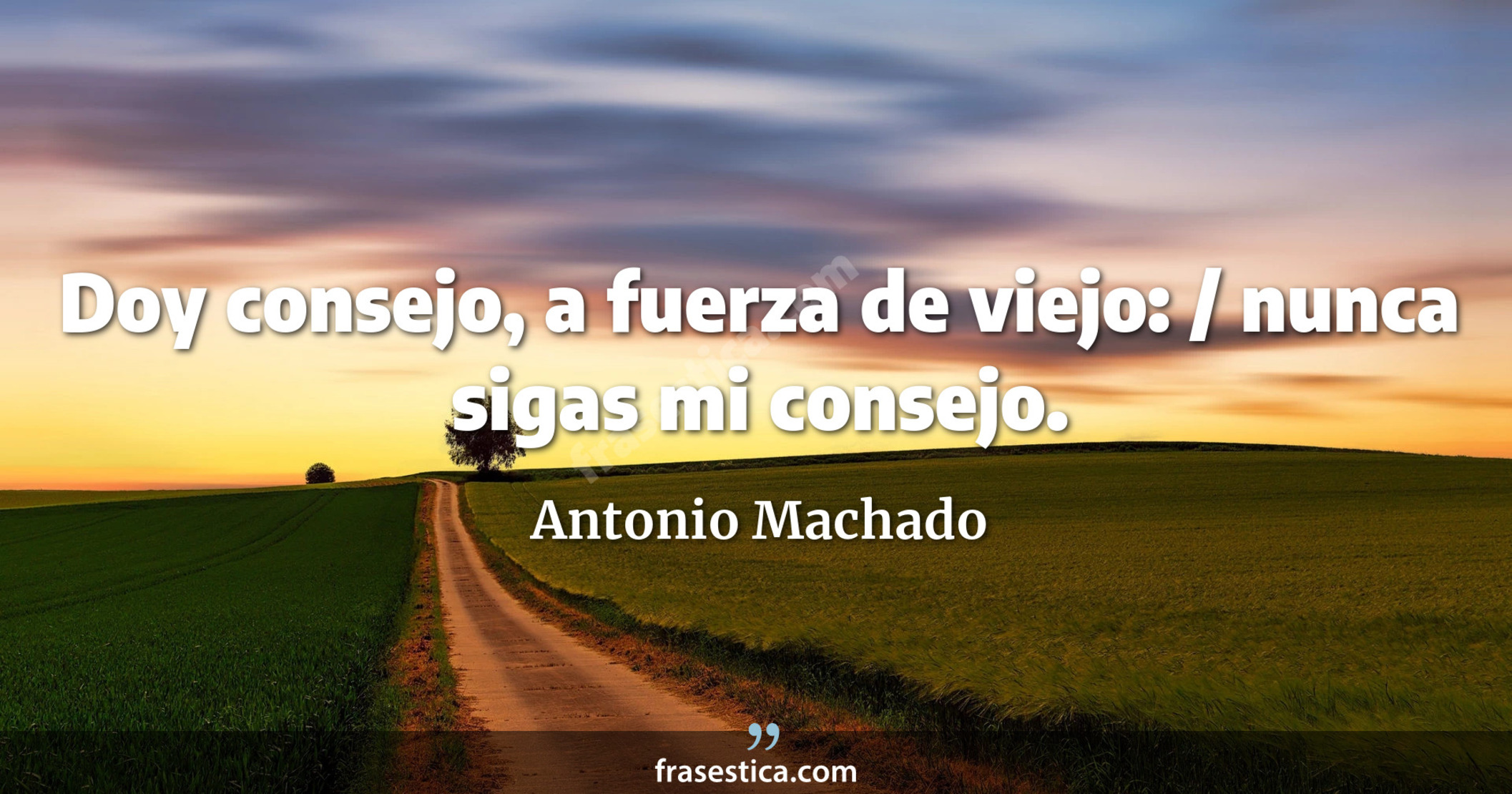 Doy consejo, a fuerza de viejo: / nunca sigas mi consejo. - Antonio Machado