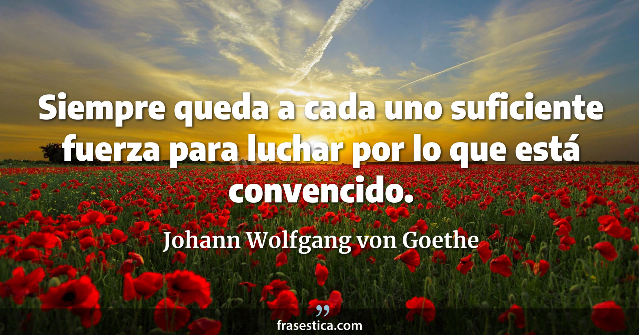 Siempre queda a cada uno suficiente fuerza para luchar por lo que está convencido. - Johann Wolfgang von Goethe