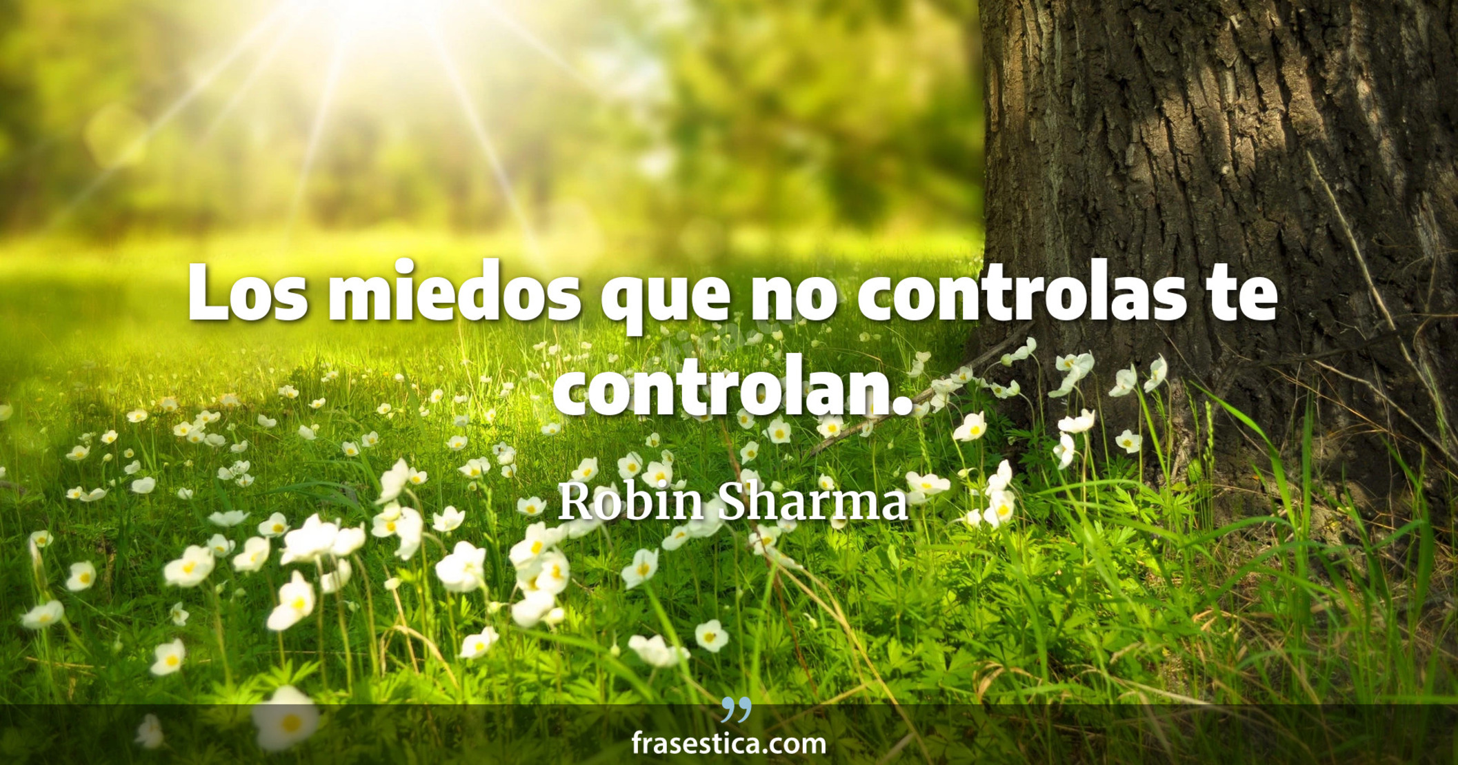 Los miedos que no controlas te controlan. - Robin Sharma