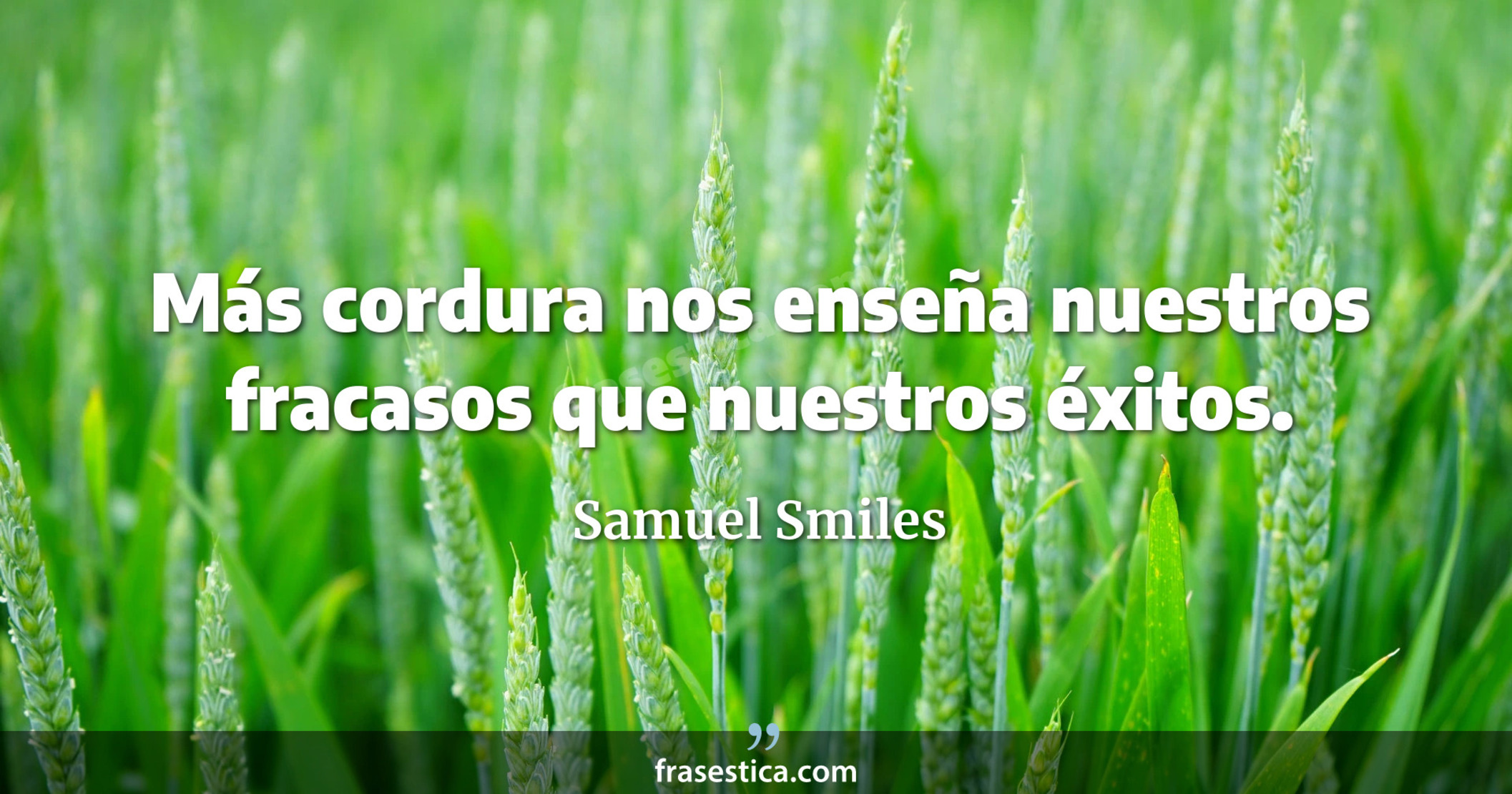 Más cordura nos enseña nuestros fracasos que nuestros éxitos. - Samuel Smiles
