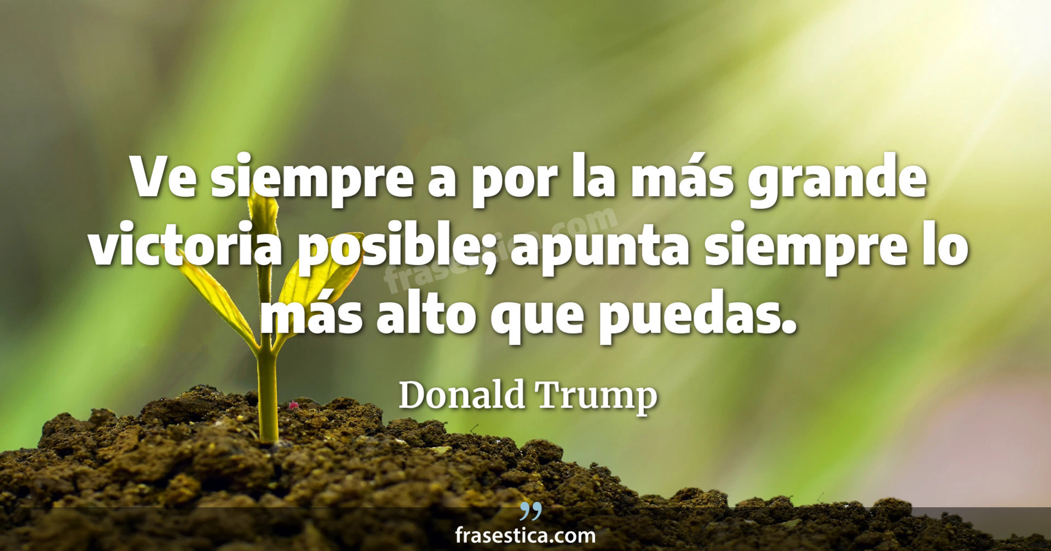 Ve siempre a por la más grande victoria posible; apunta siempre lo más alto que puedas. - Donald Trump