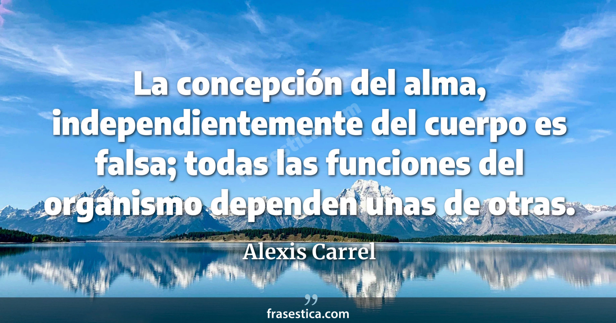 La concepción del alma, independientemente del cuerpo es falsa; todas las funciones del organismo dependen unas de otras. - Alexis Carrel