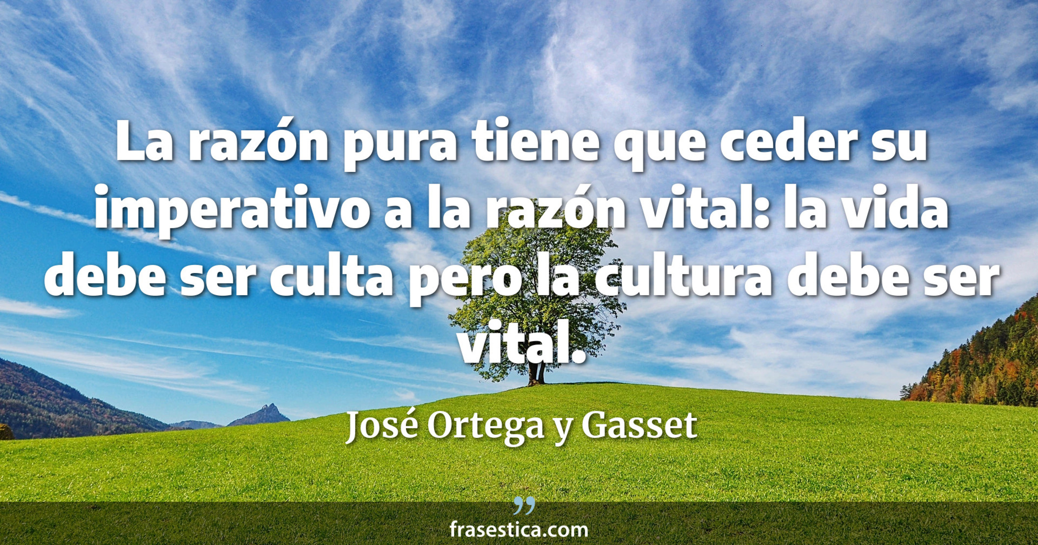 La razón pura tiene que ceder su imperativo a la razón vital: la vida debe ser culta pero la cultura debe ser vital. - José Ortega y Gasset