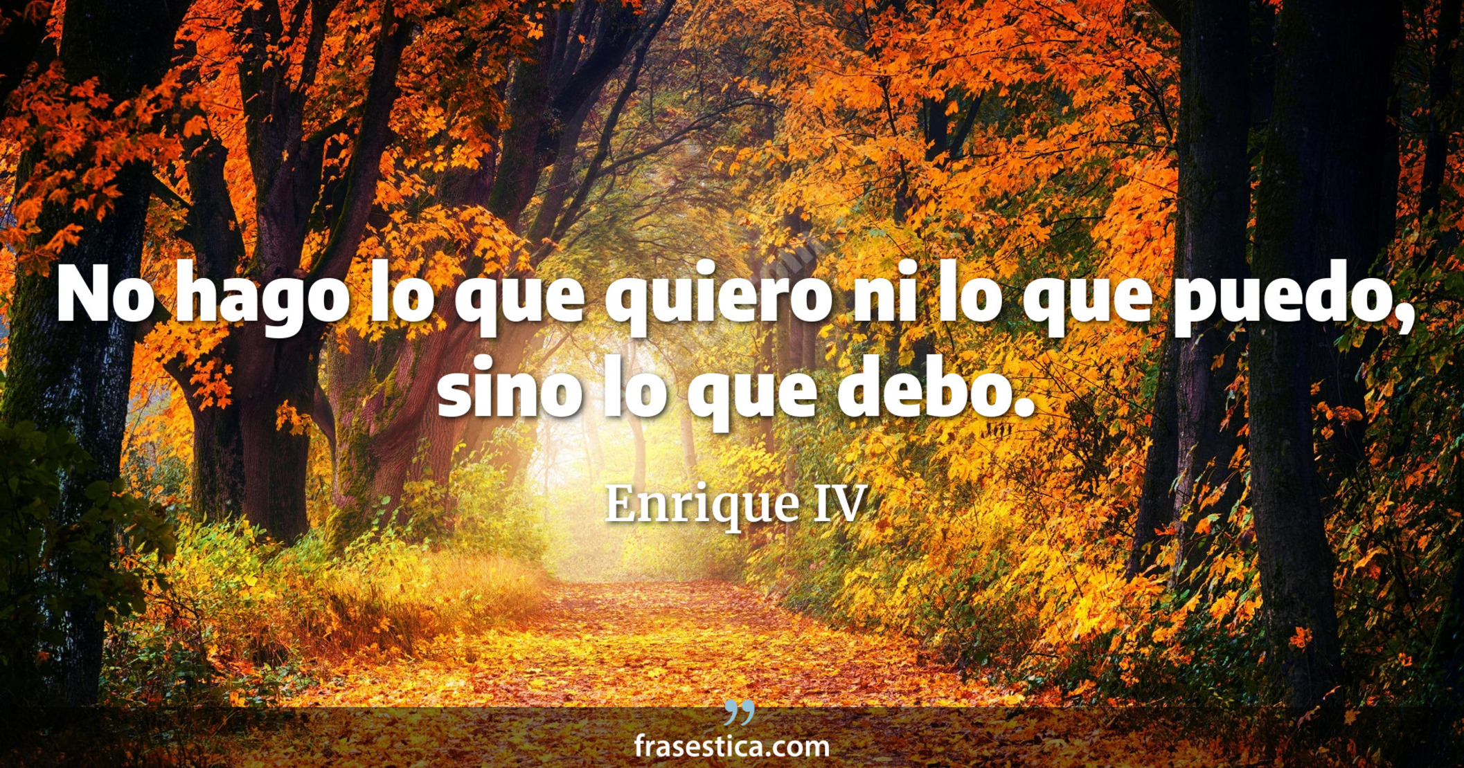 No hago lo que quiero ni lo que puedo, sino lo que debo. - Enrique IV