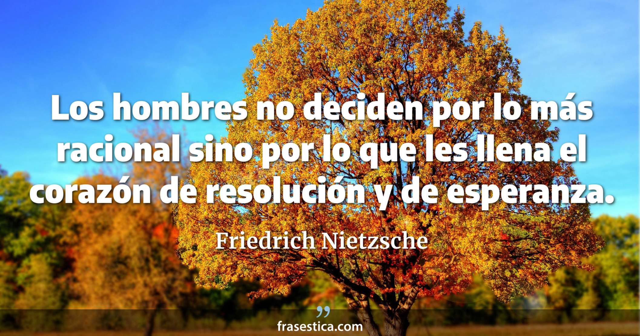 Los hombres no deciden por lo más racional sino por lo que les llena el corazón de resolución y de esperanza. - Friedrich Nietzsche