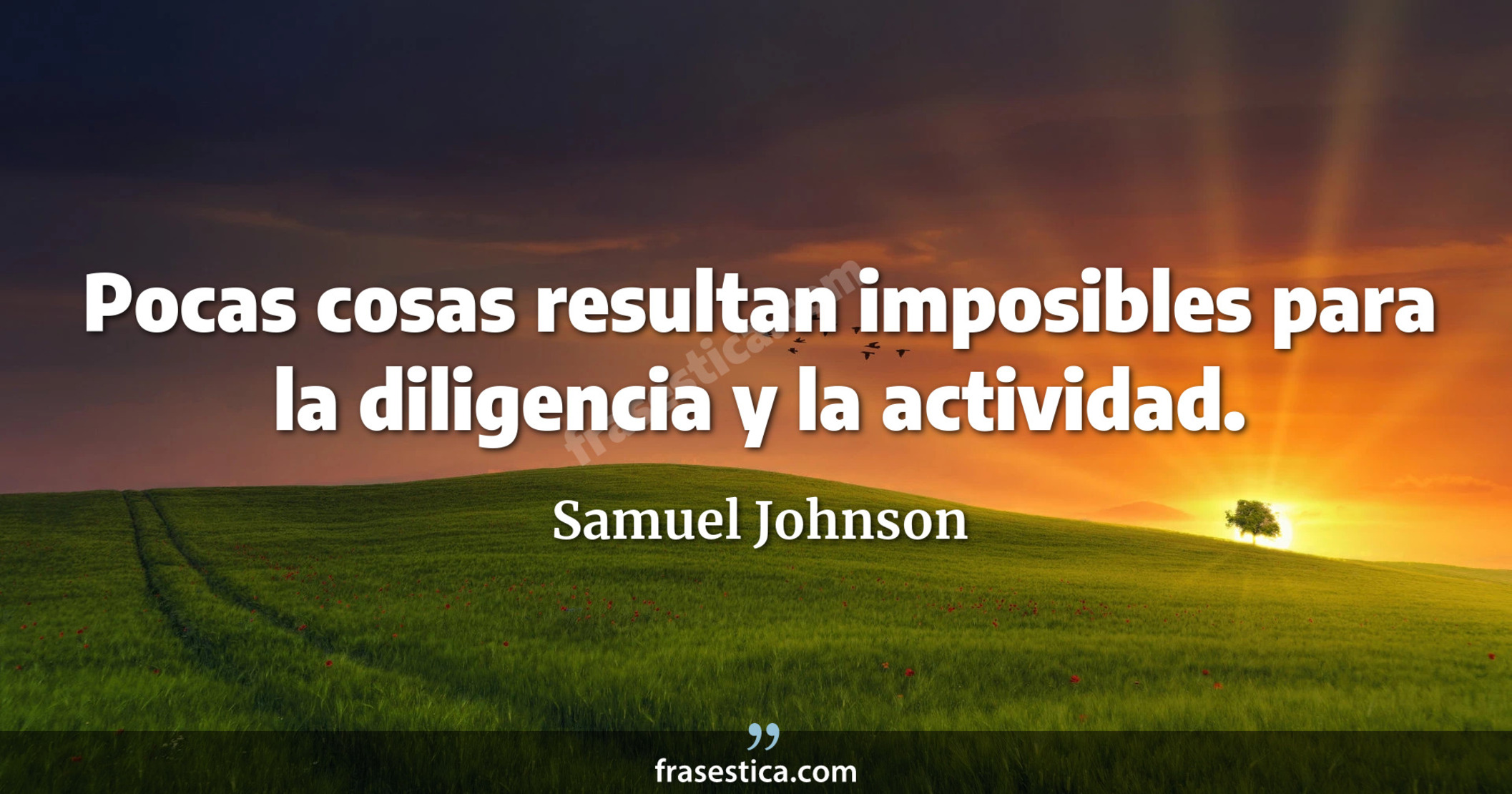 Pocas cosas resultan imposibles para la diligencia y la actividad. - Samuel Johnson
