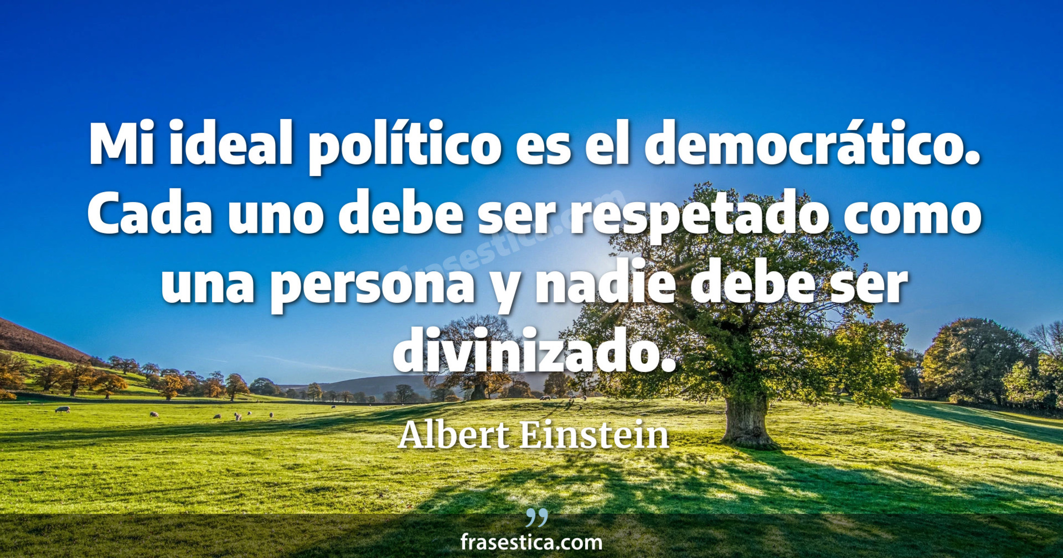 Mi ideal político es el democrático. Cada uno debe ser respetado como una persona y nadie debe ser divinizado. - Albert Einstein
