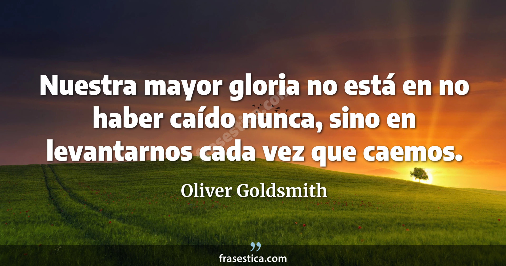 Nuestra mayor gloria no está en no haber caído nunca, sino en levantarnos cada vez que caemos. - Oliver Goldsmith