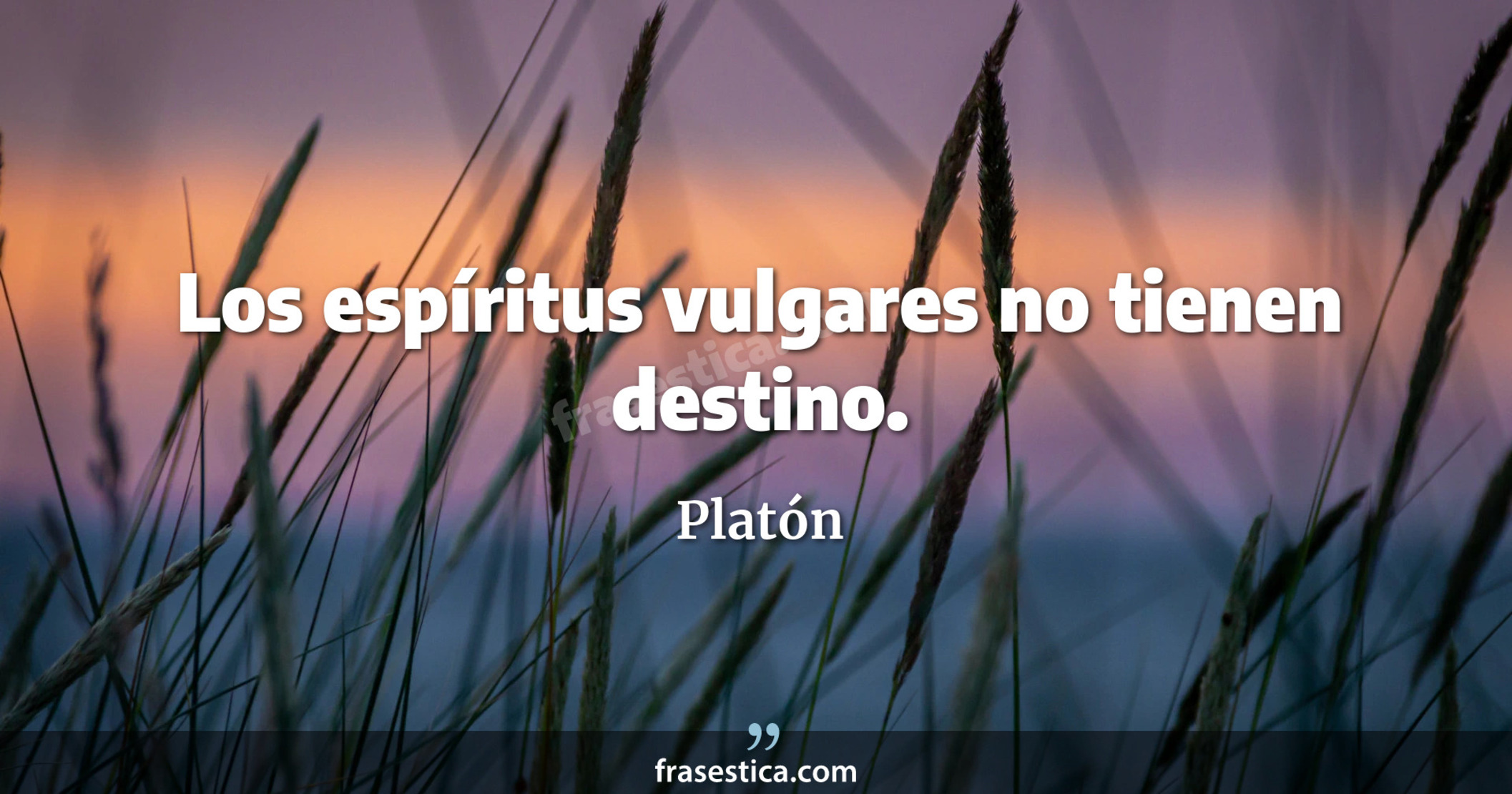 Los espíritus vulgares no tienen destino. - Platón