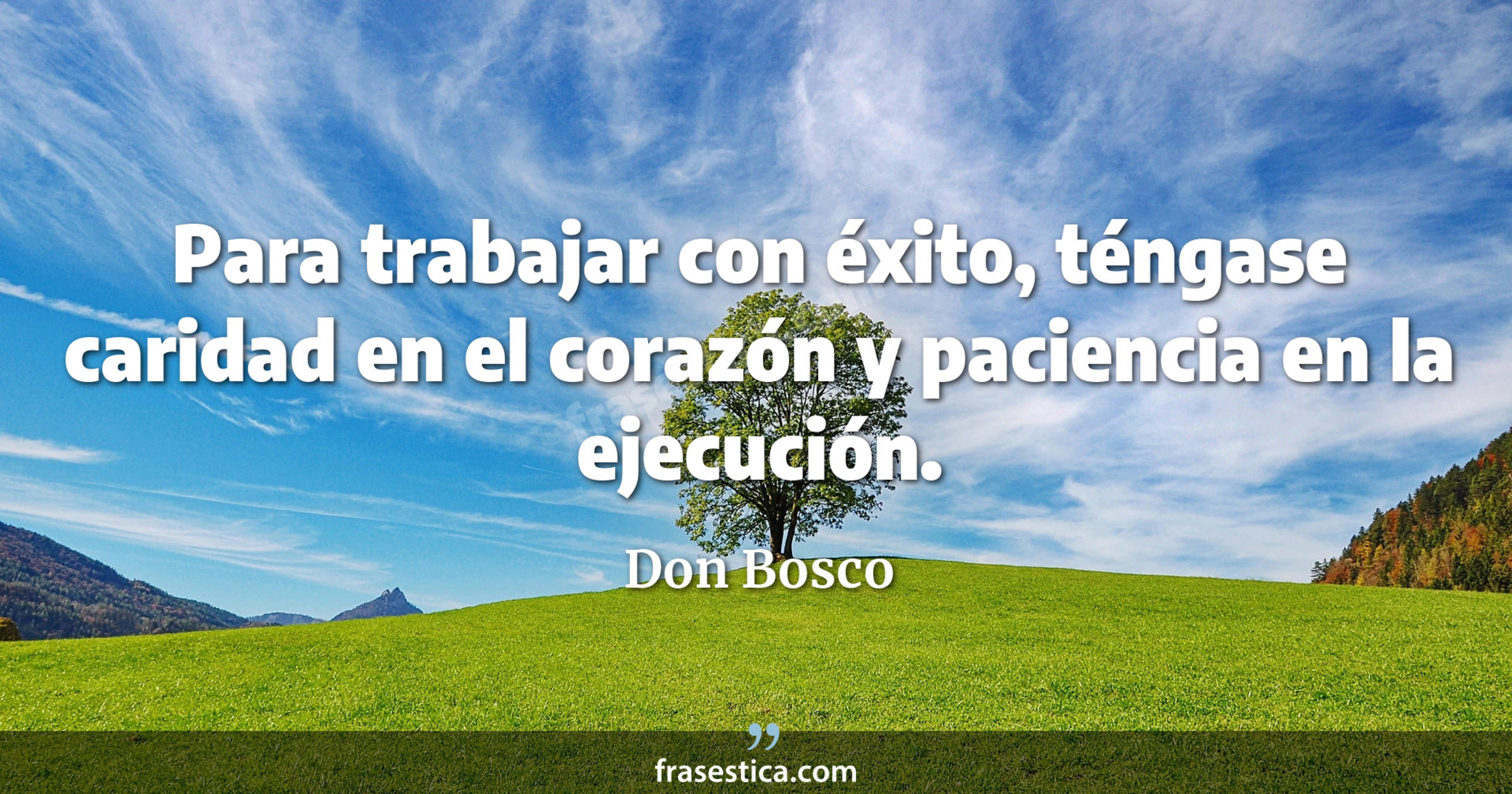 Para trabajar con éxito, téngase caridad en el corazón y paciencia en la ejecución. - Don Bosco
