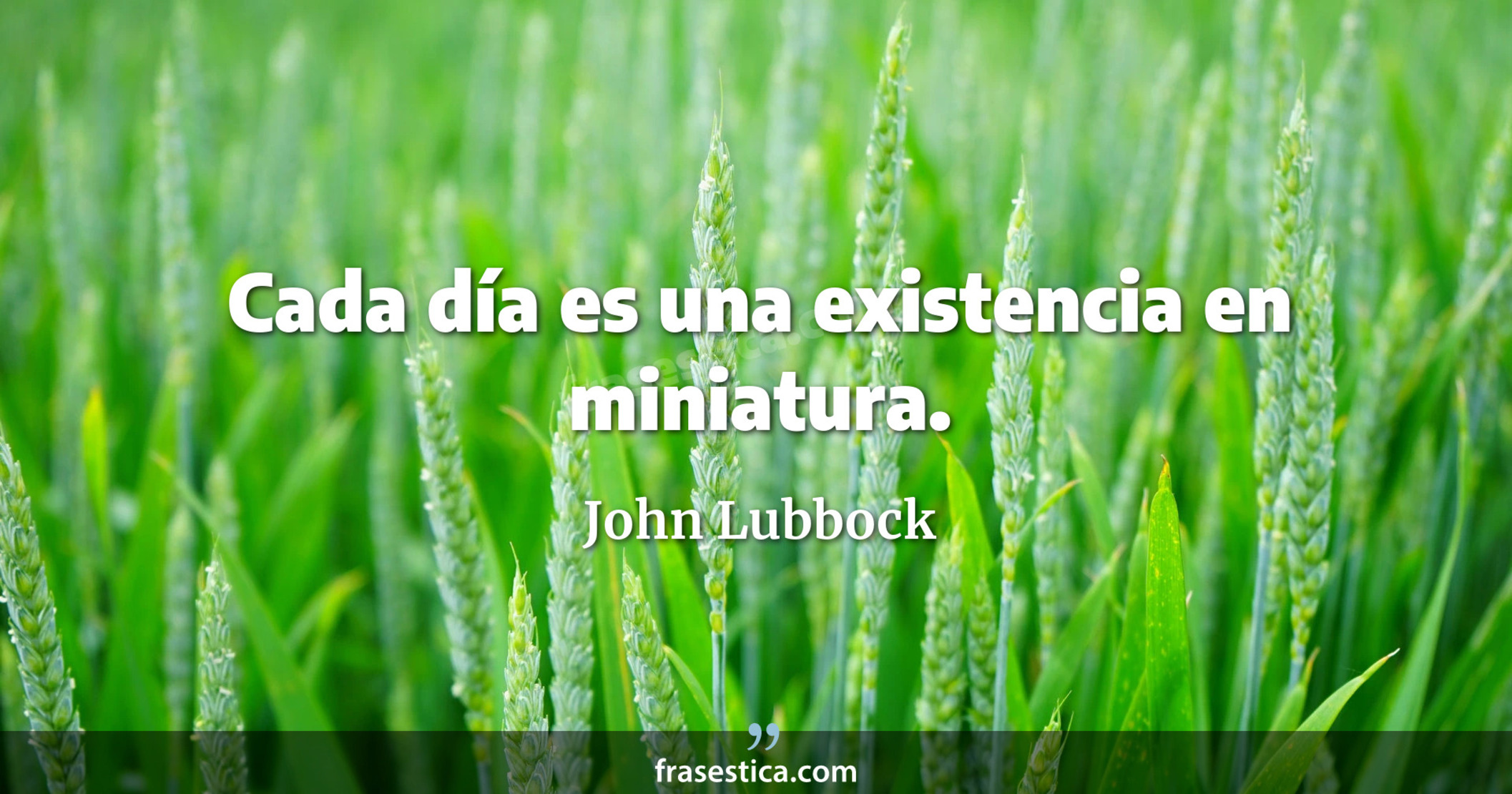Cada día es una existencia en miniatura. - John Lubbock