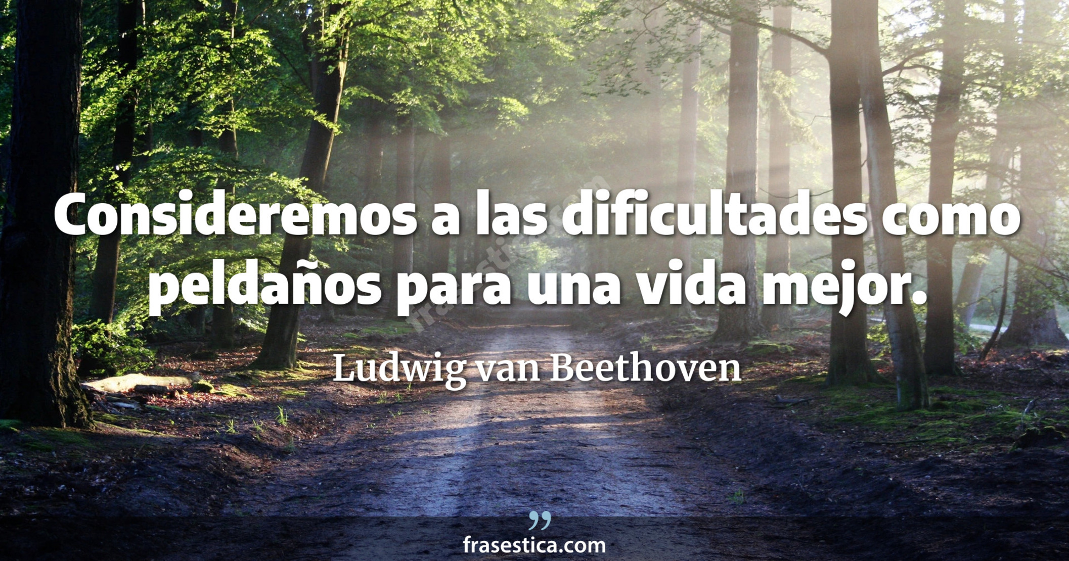 Consideremos a las dificultades como peldaños para una vida mejor. - Ludwig van Beethoven