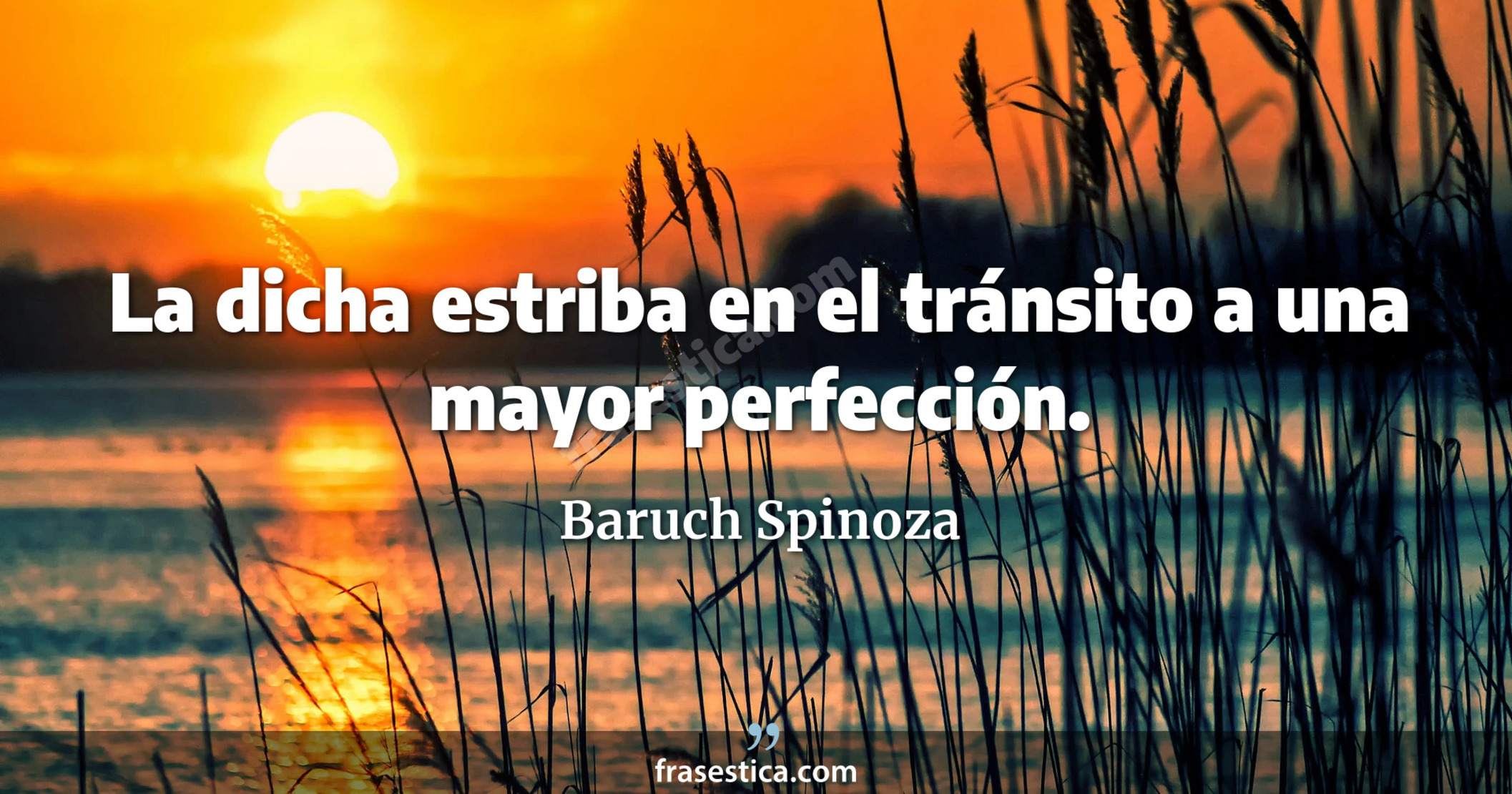 La dicha estriba en el tránsito a una mayor perfección. - Baruch Spinoza