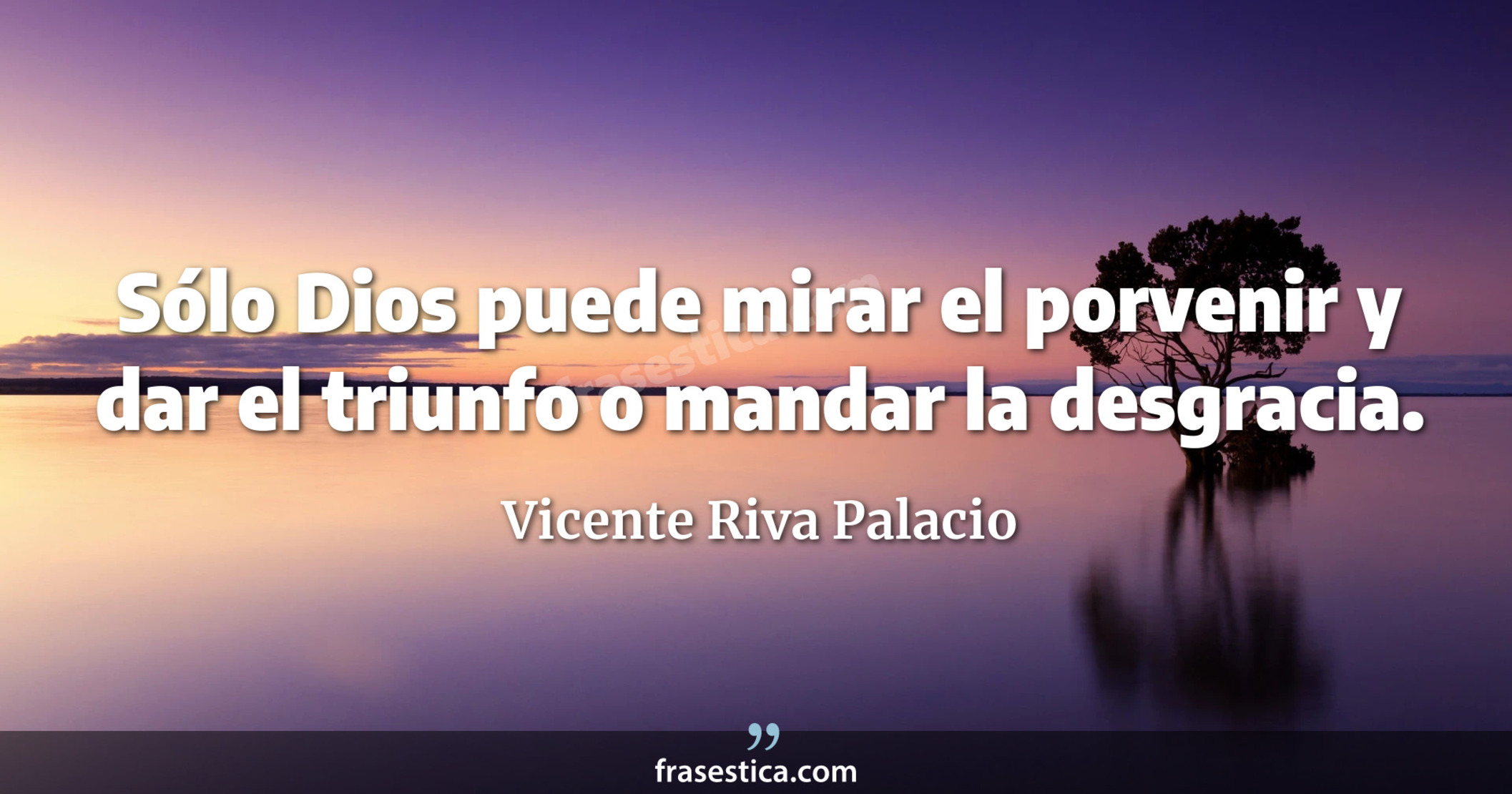 Sólo Dios puede mirar el porvenir y dar el triunfo o mandar la desgracia. - Vicente Riva Palacio