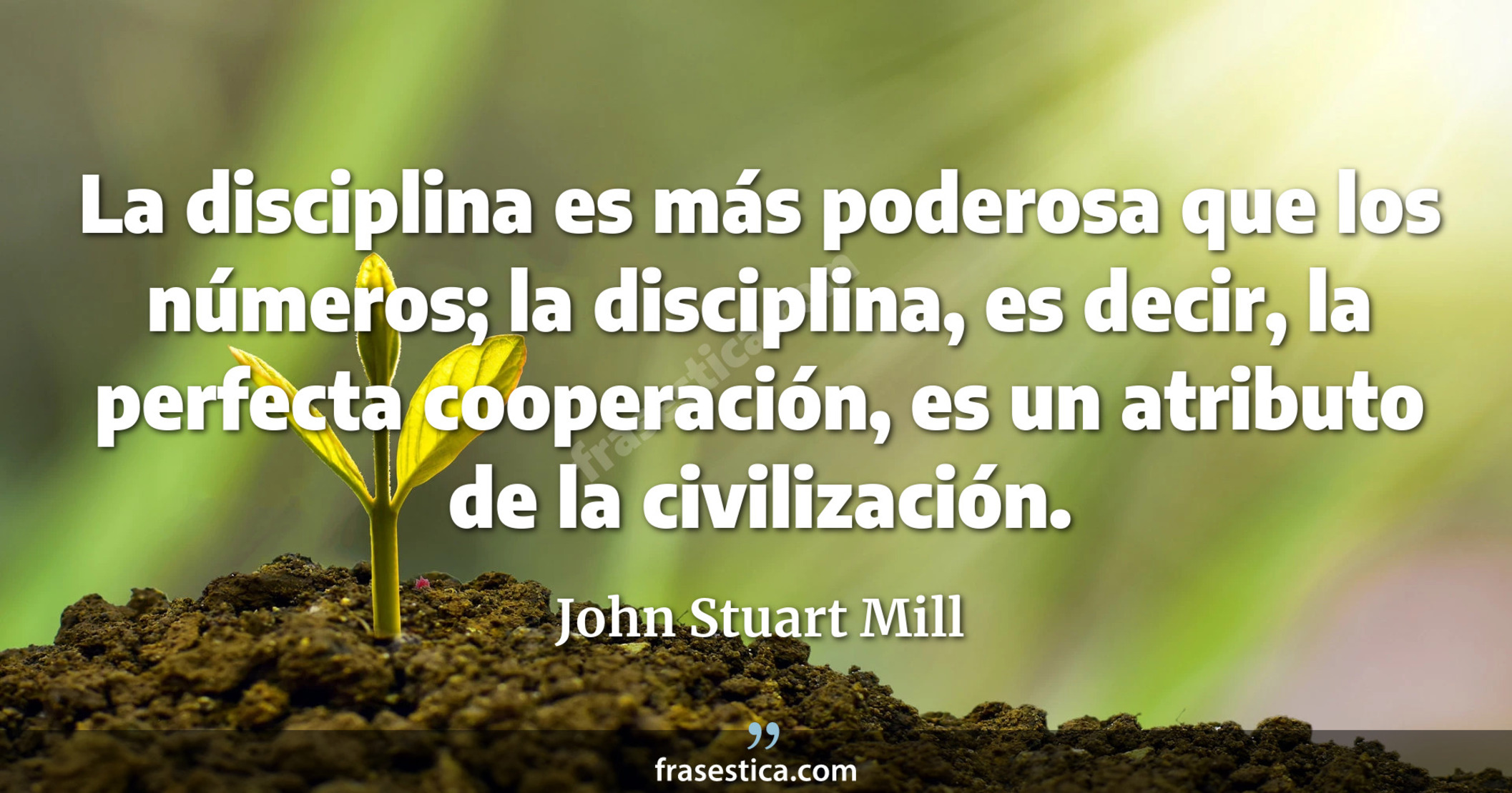 La disciplina es más poderosa que los números; la disciplina, es decir, la perfecta cooperación, es un atributo de la civilización. - John Stuart Mill