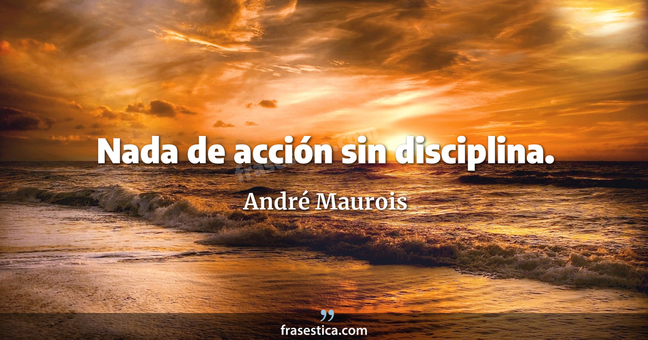 Nada de acción sin disciplina. - André Maurois