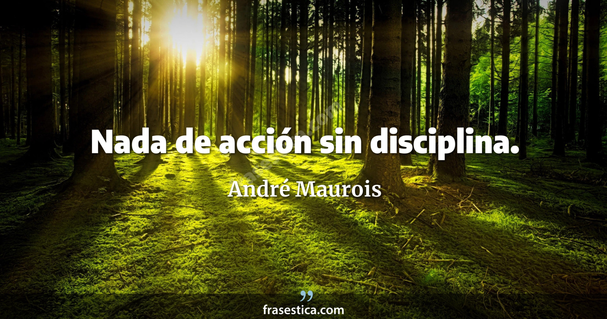 Nada de acción sin disciplina. - André Maurois
