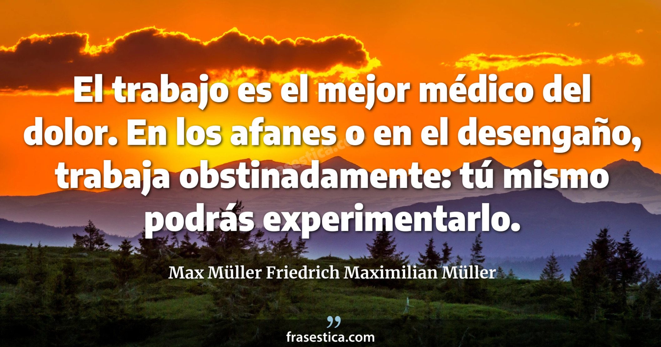 El trabajo es el mejor médico del dolor. En los afanes o en el desengaño, trabaja obstinadamente: tú mismo podrás experimentarlo. - Max Müller Friedrich Maximilian Müller