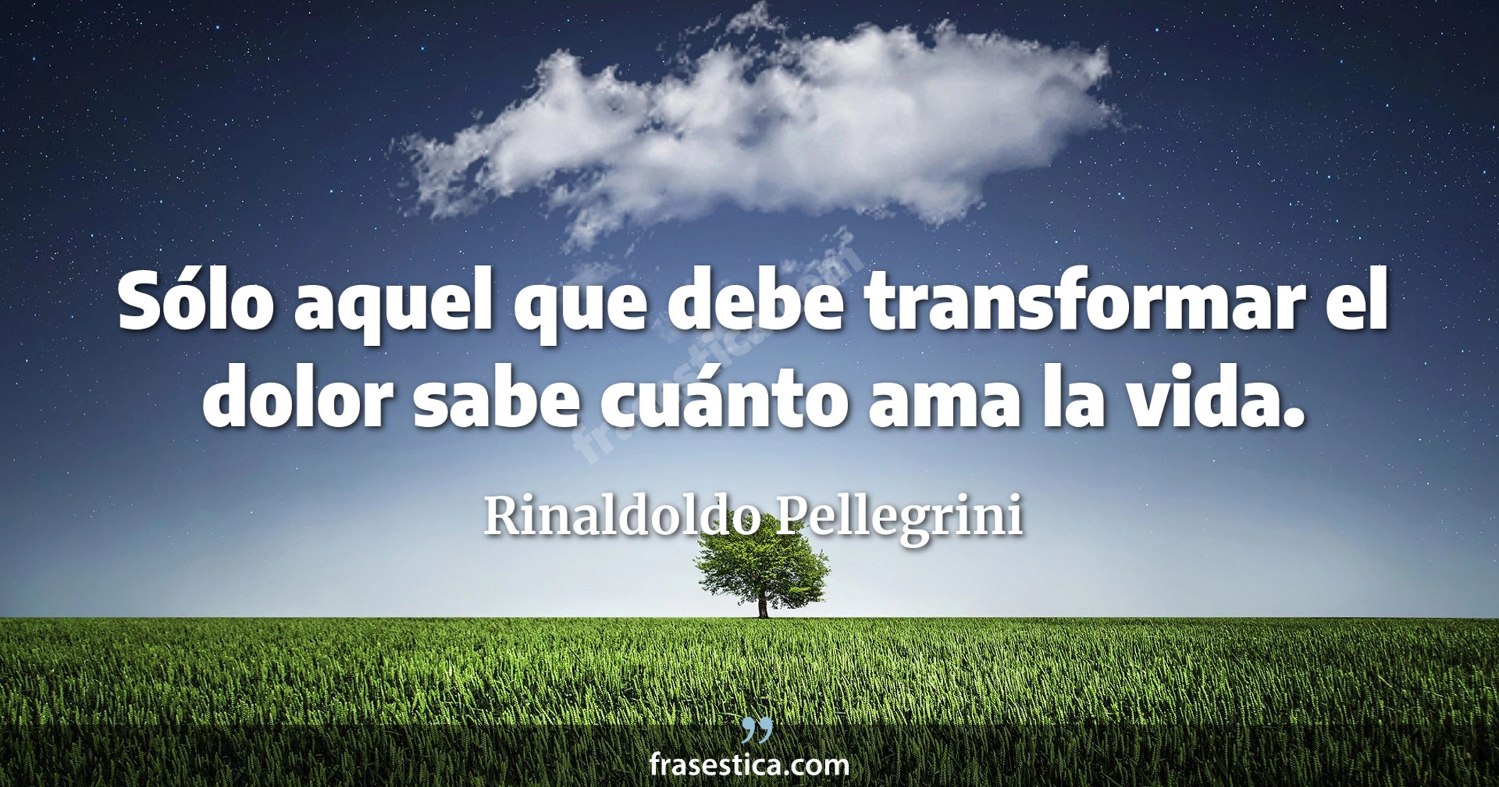 Sólo aquel que debe transformar el dolor sabe cuánto ama la vida. - Rinaldoldo Pellegrini