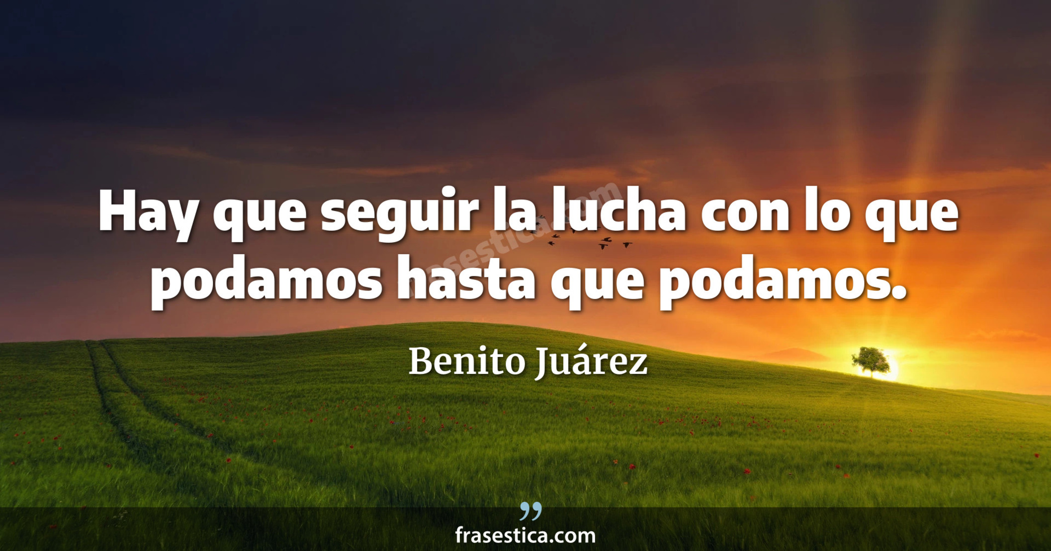 Hay que seguir la lucha con lo que podamos hasta que podamos. - Benito Juárez