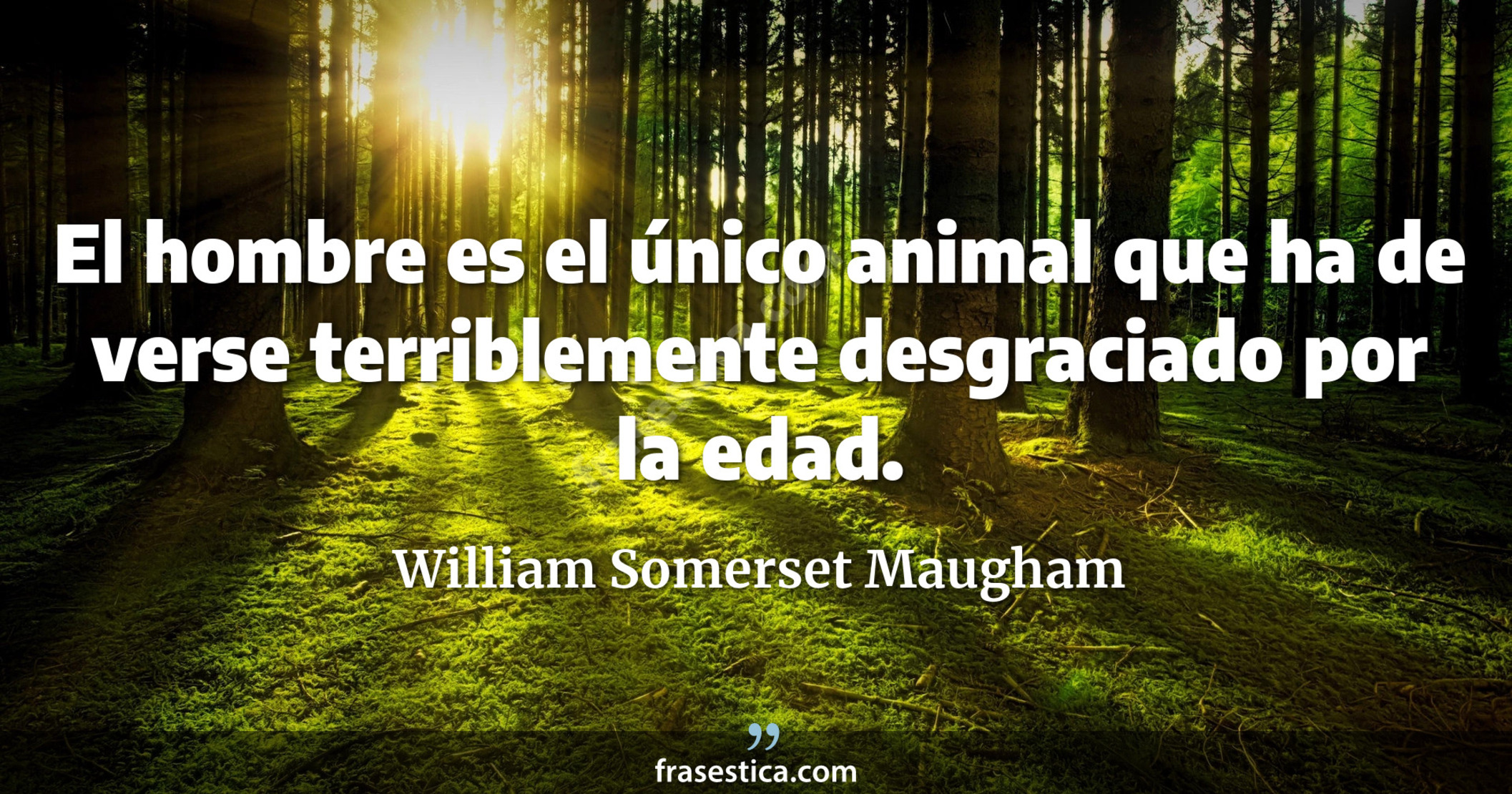 El hombre es el único animal que ha de verse terriblemente desgraciado por la edad. - William Somerset Maugham